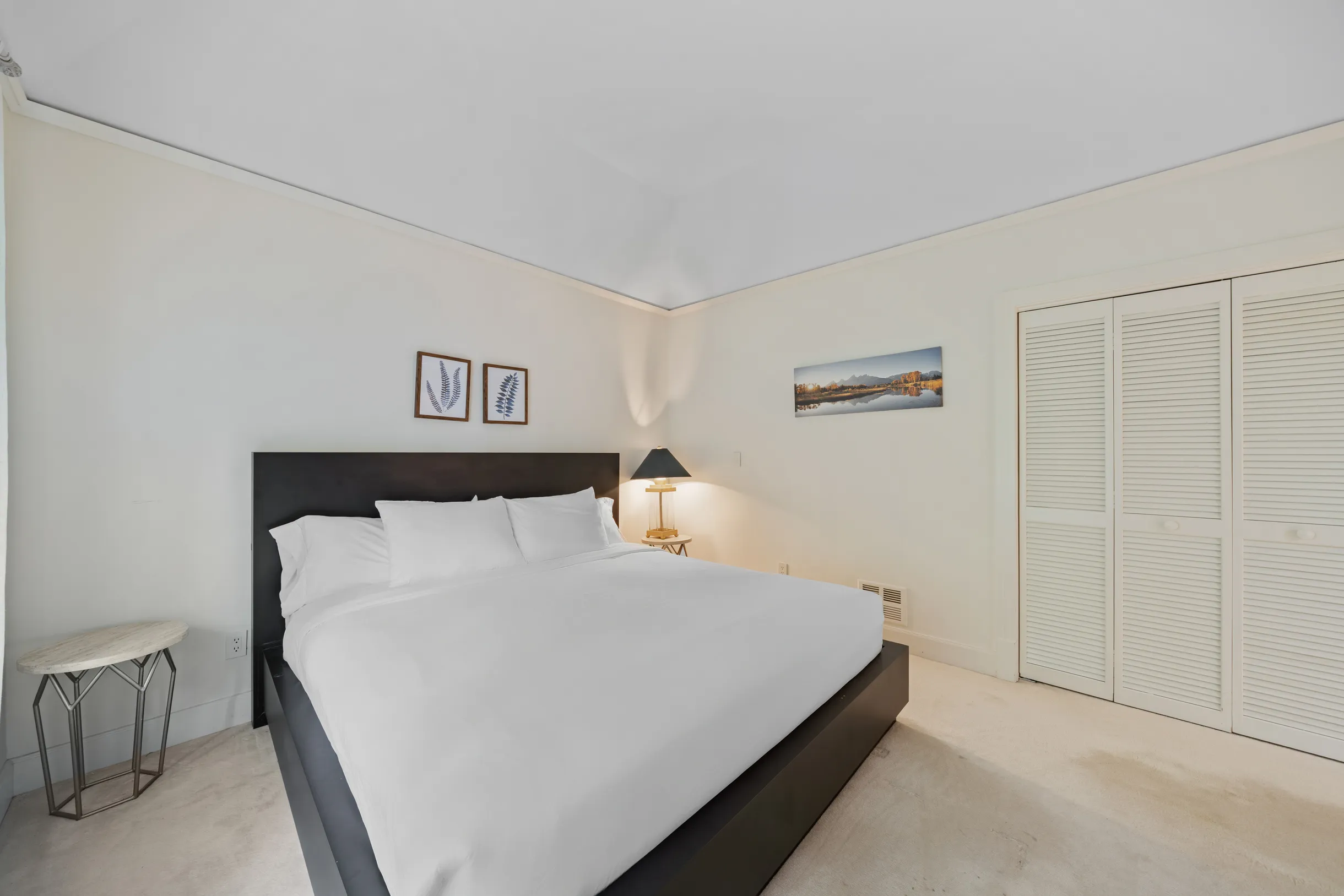 Wander Blue Ridge Valley #47