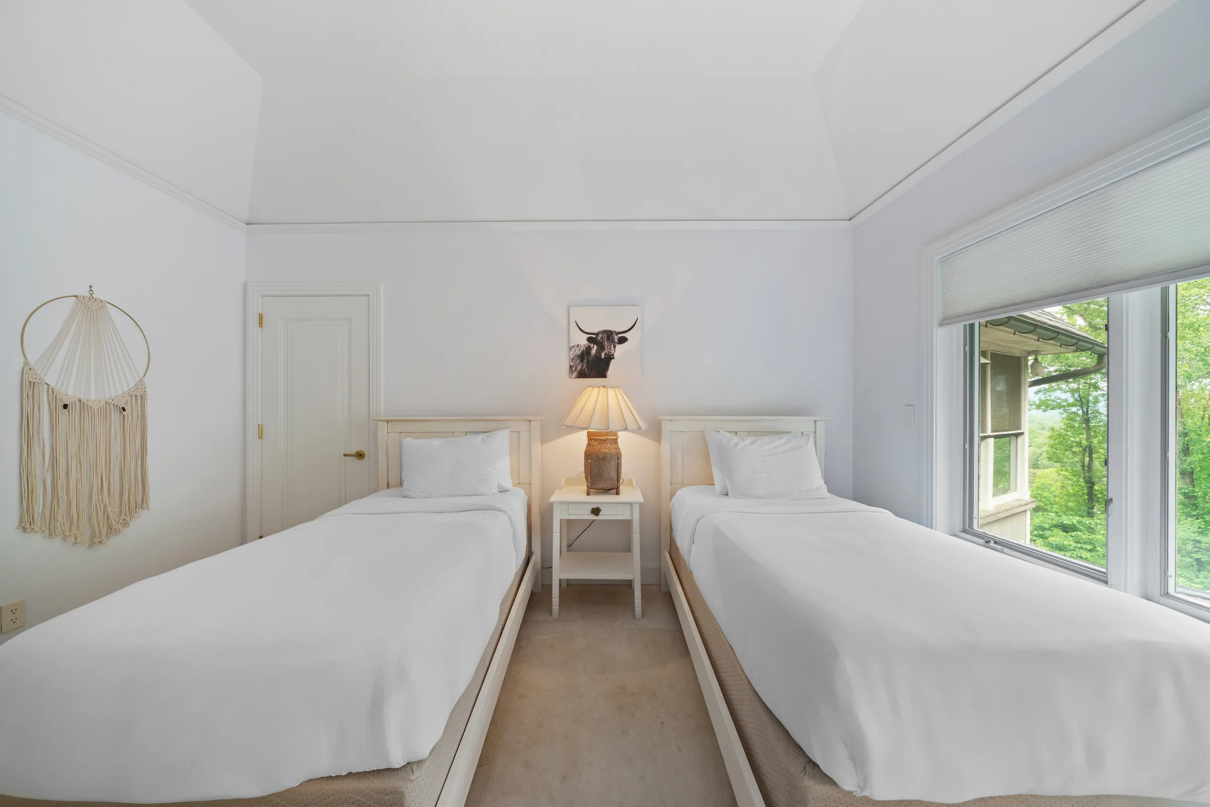 Wander Blue Ridge Valley #48