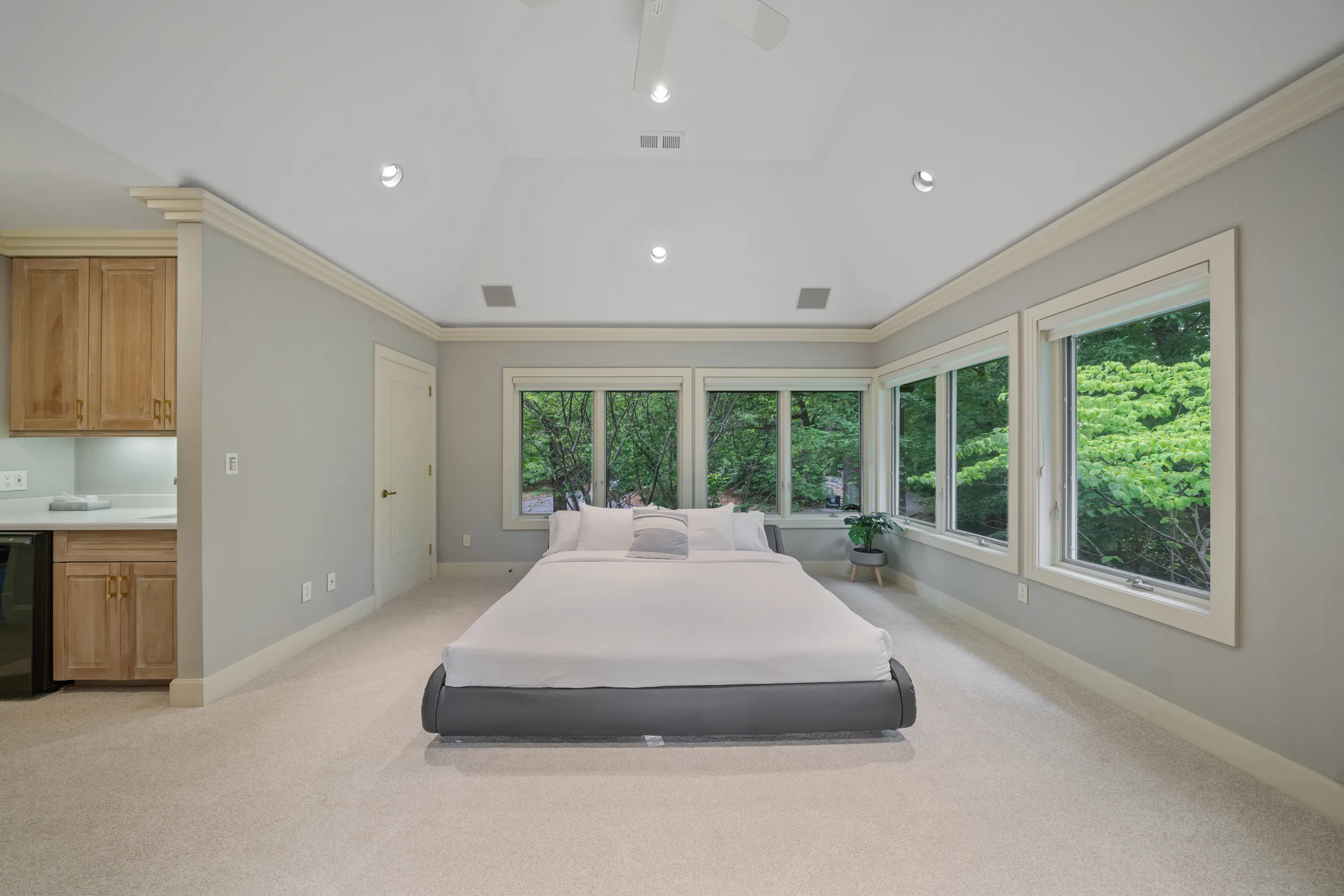 Wander Blue Ridge Valley #20