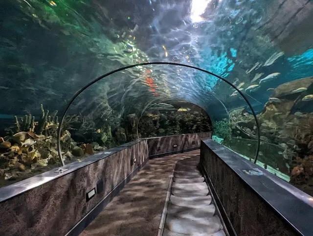 Ripley's Aquarium of the Smokies