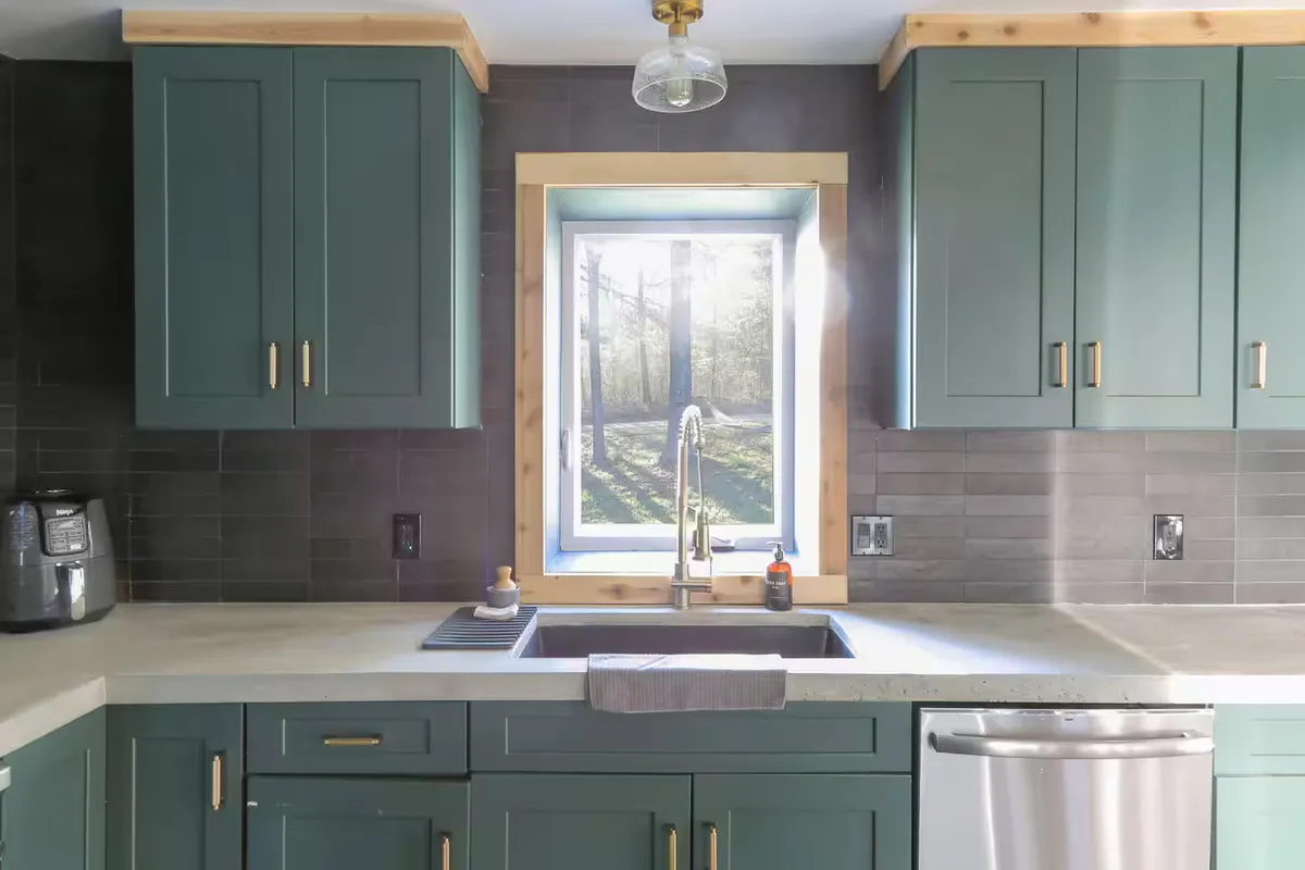 Wander Catskills Woods #29