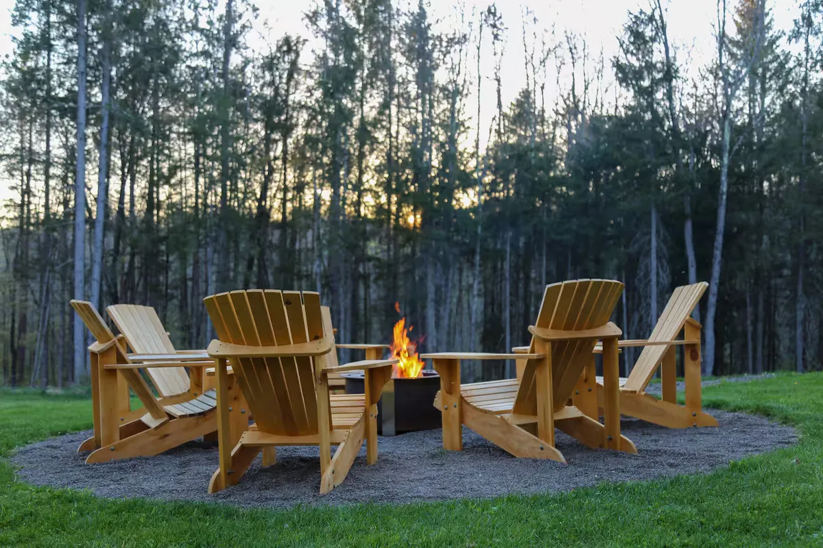 Wander Catskills Woods #6