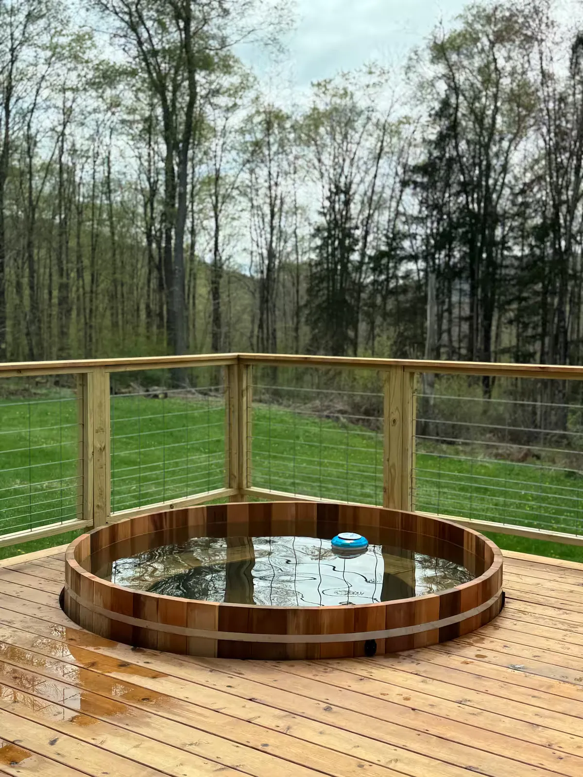 Wander Catskills Woods #7