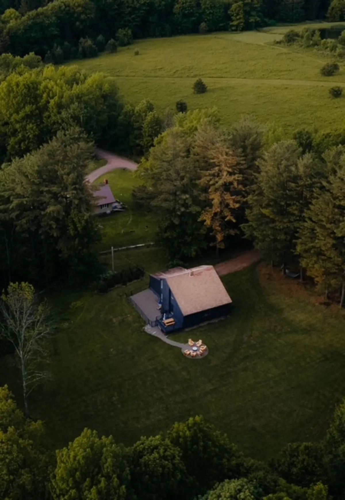 Wander Catskills Woods #41