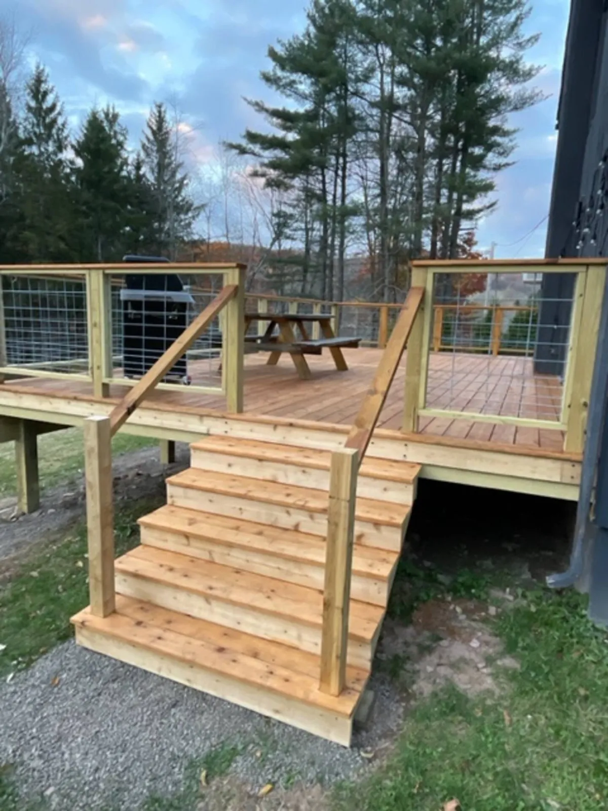 Wander Catskills Woods #45