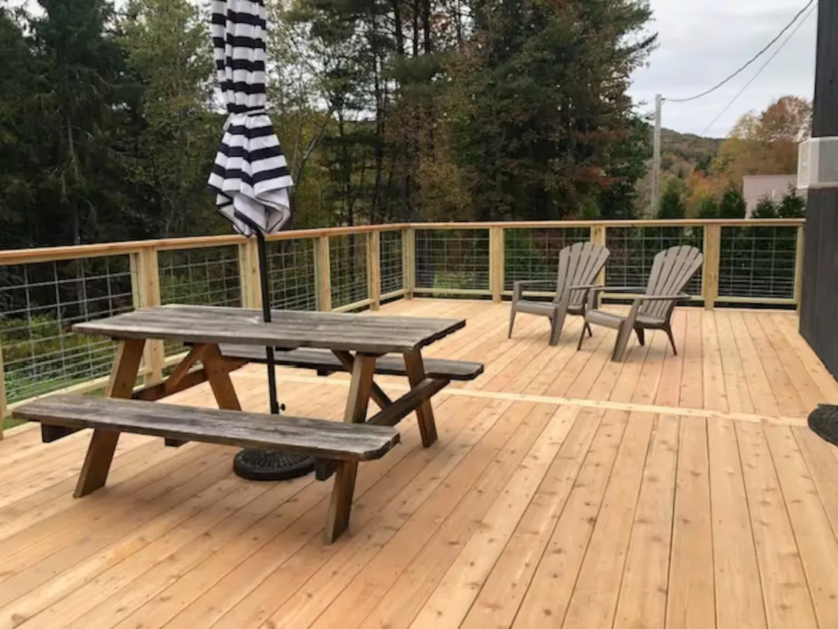 Wander Catskills Woods #42