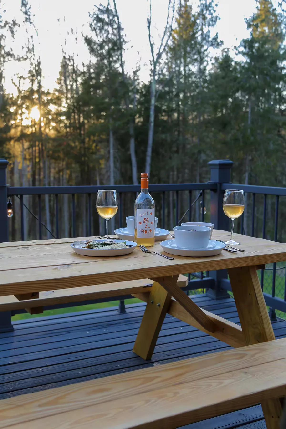 Wander Catskills Woods #21