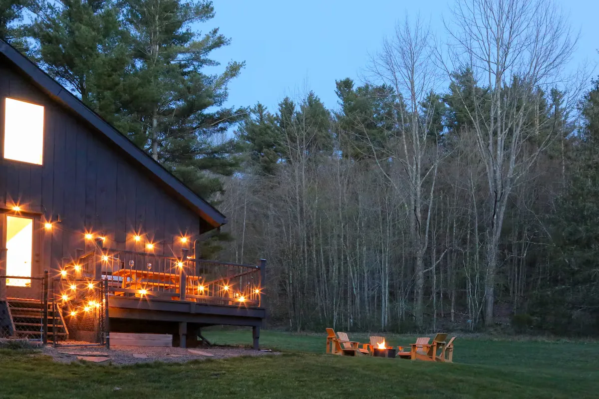 Wander Catskills Woods #46