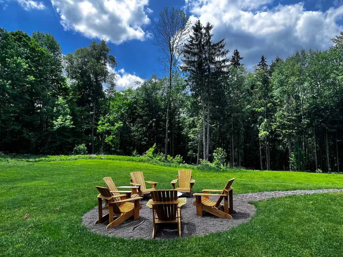 Wander Catskills Woods #22