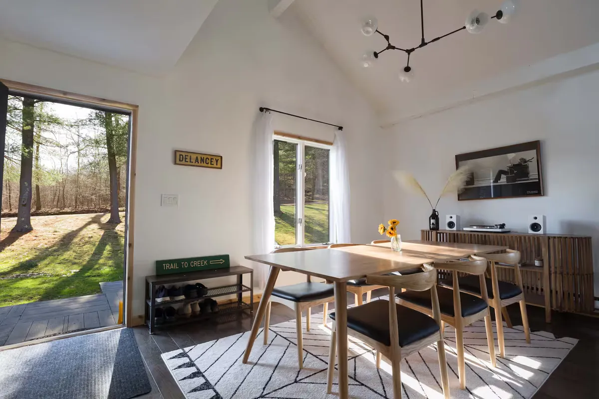 Wander Catskills Woods #11