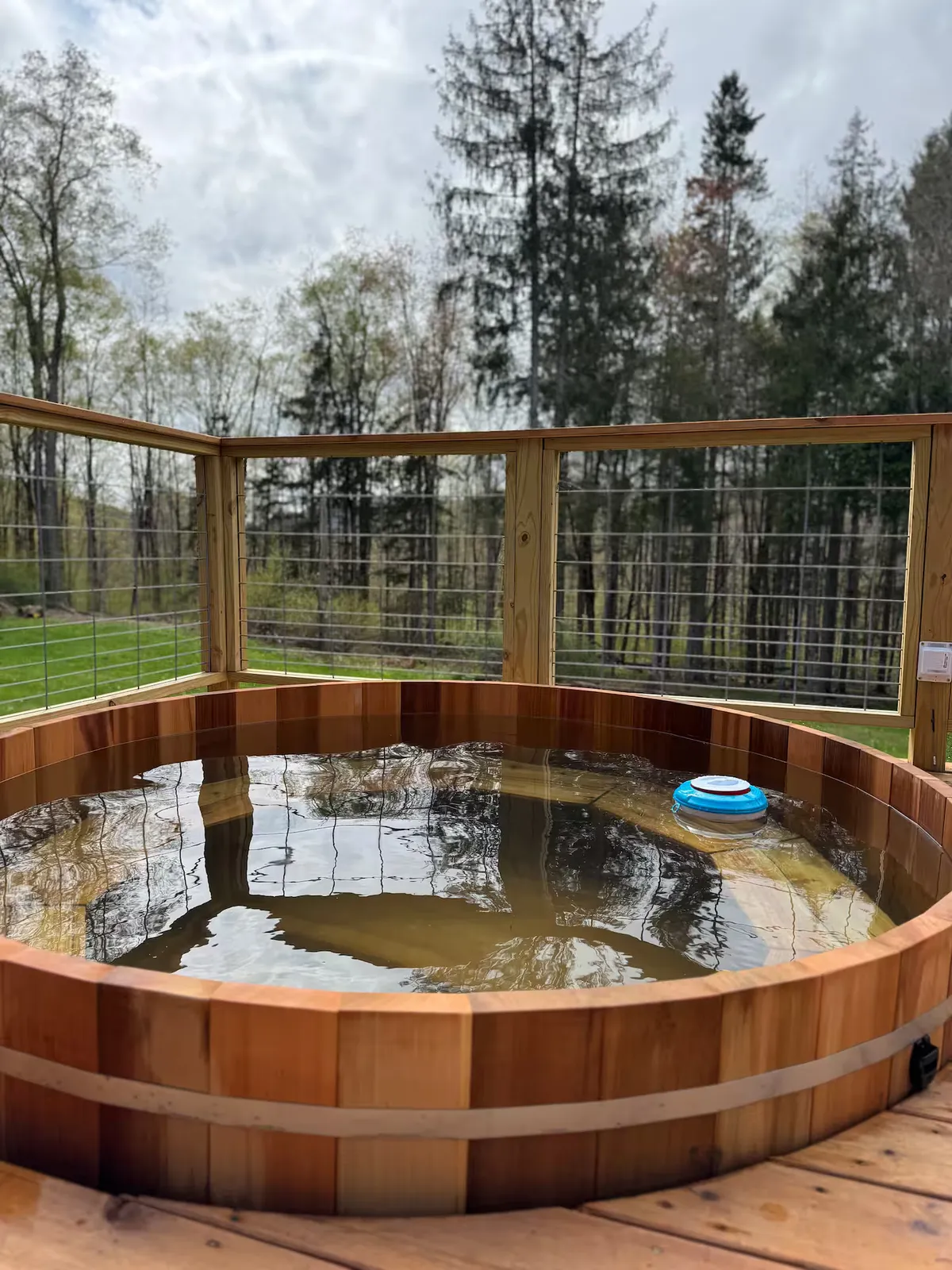 Wander Catskills Woods #19