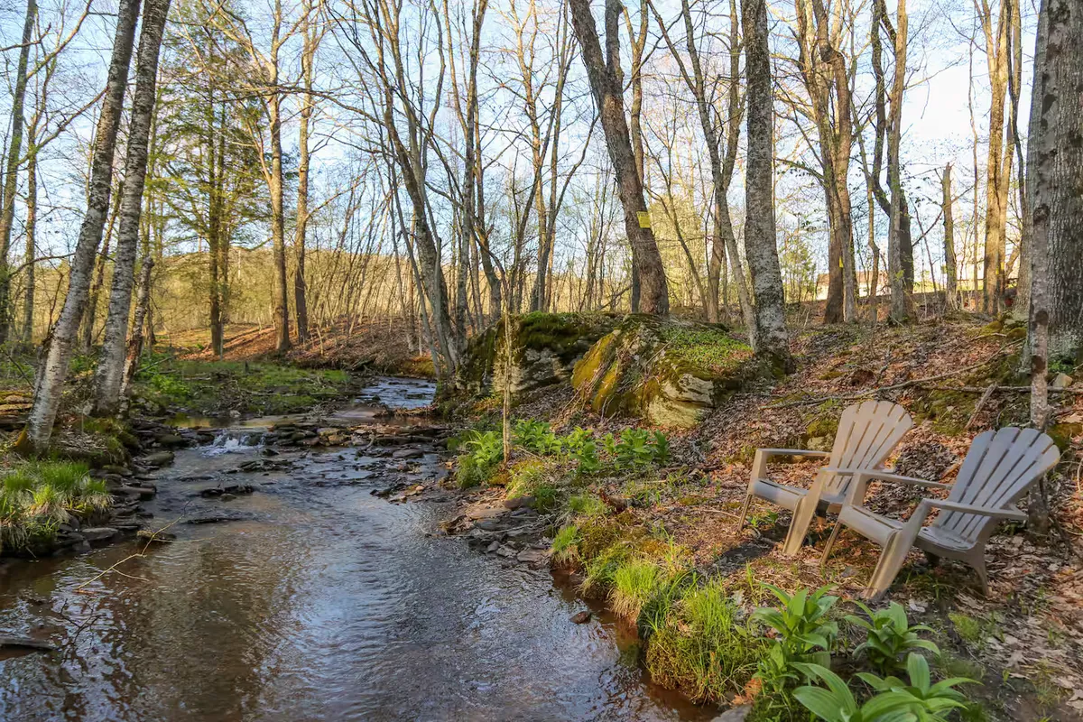 Wander Catskills Woods #28