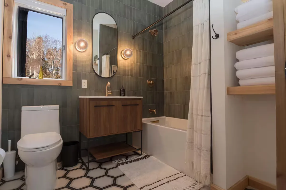 Wander Catskills Woods #12