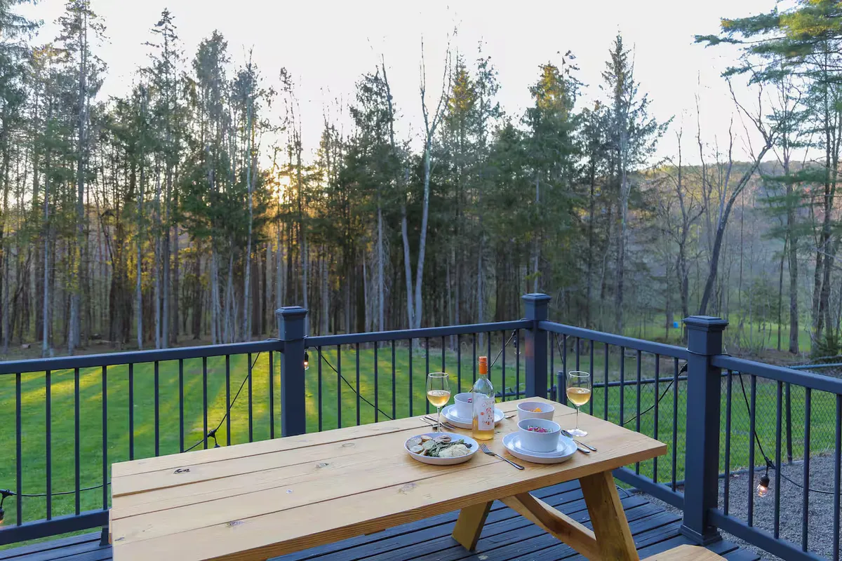 Wander Catskills Woods #33