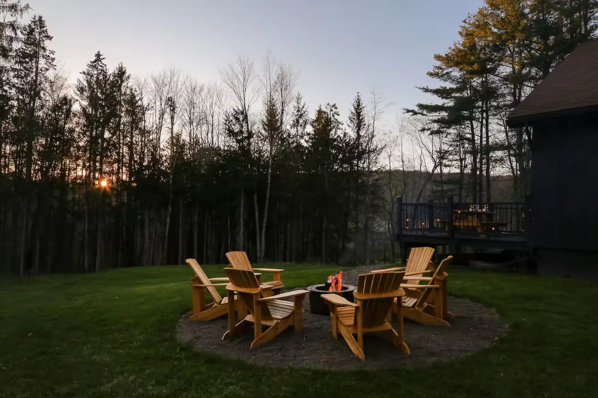 Wander Catskills Woods #39