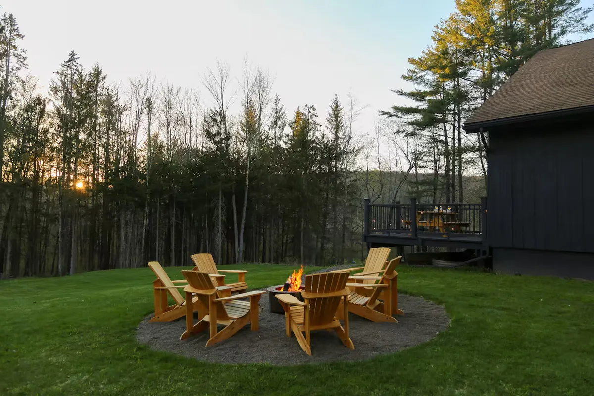 Wander Catskills Woods #44