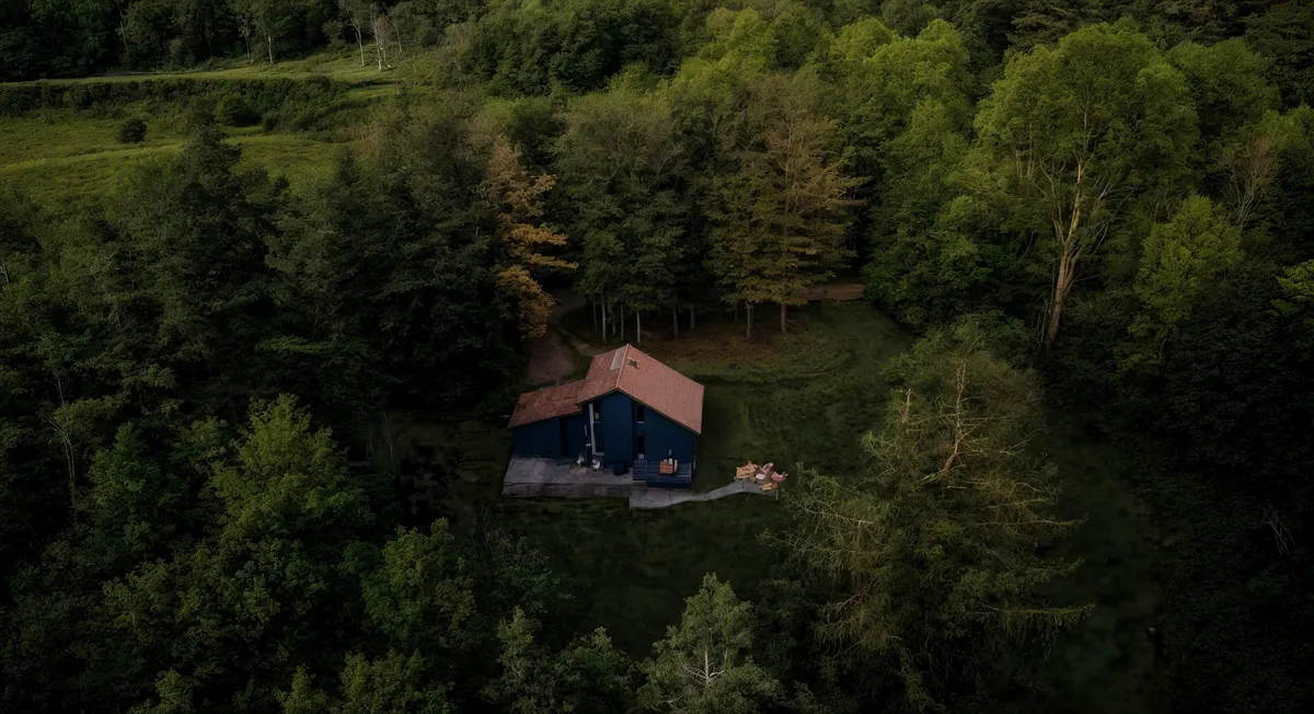 Wander Catskills Woods #2