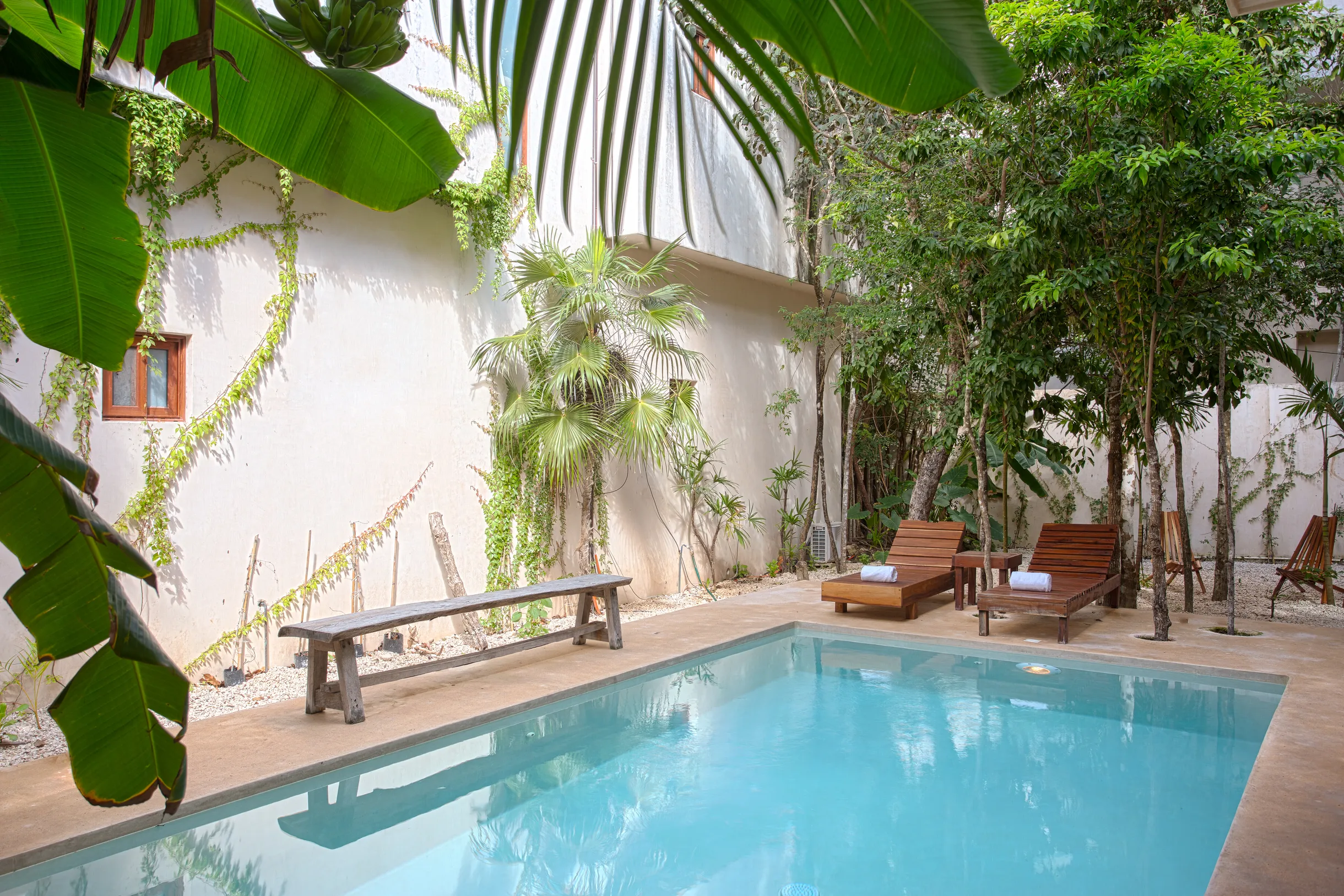 Wander Tulum Balam #47