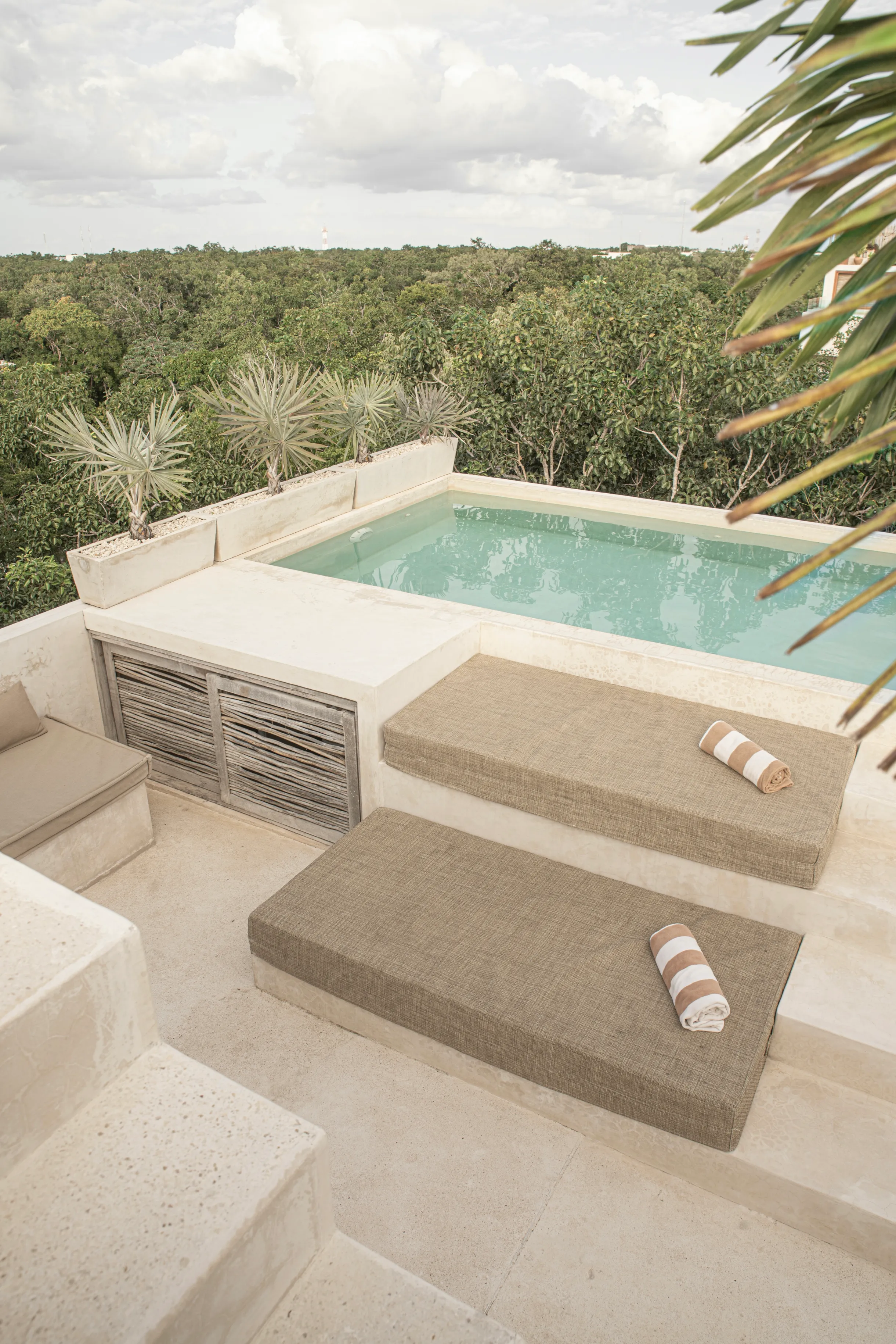 Wander Tulum Arca #53