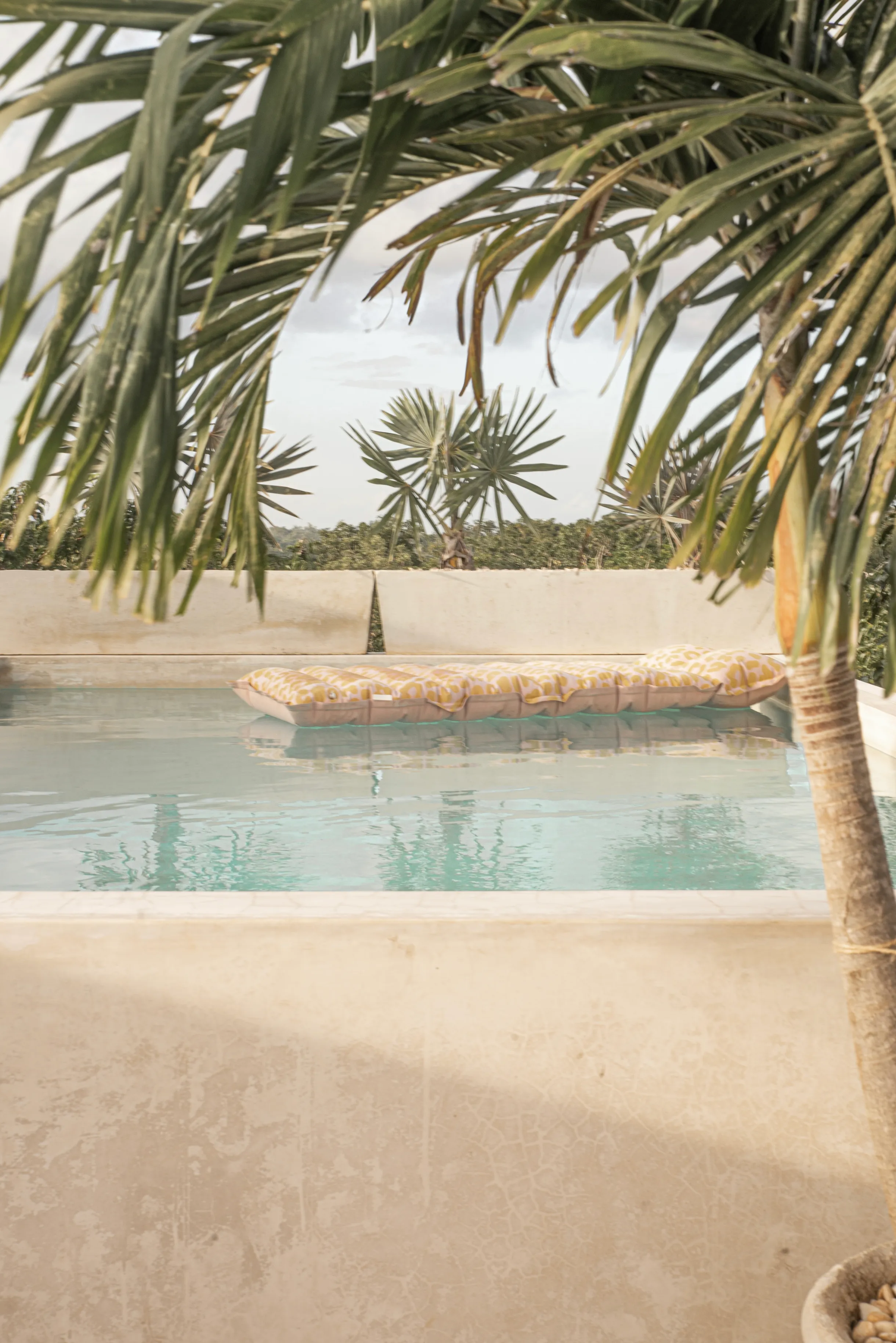 Wander Tulum Arca #48