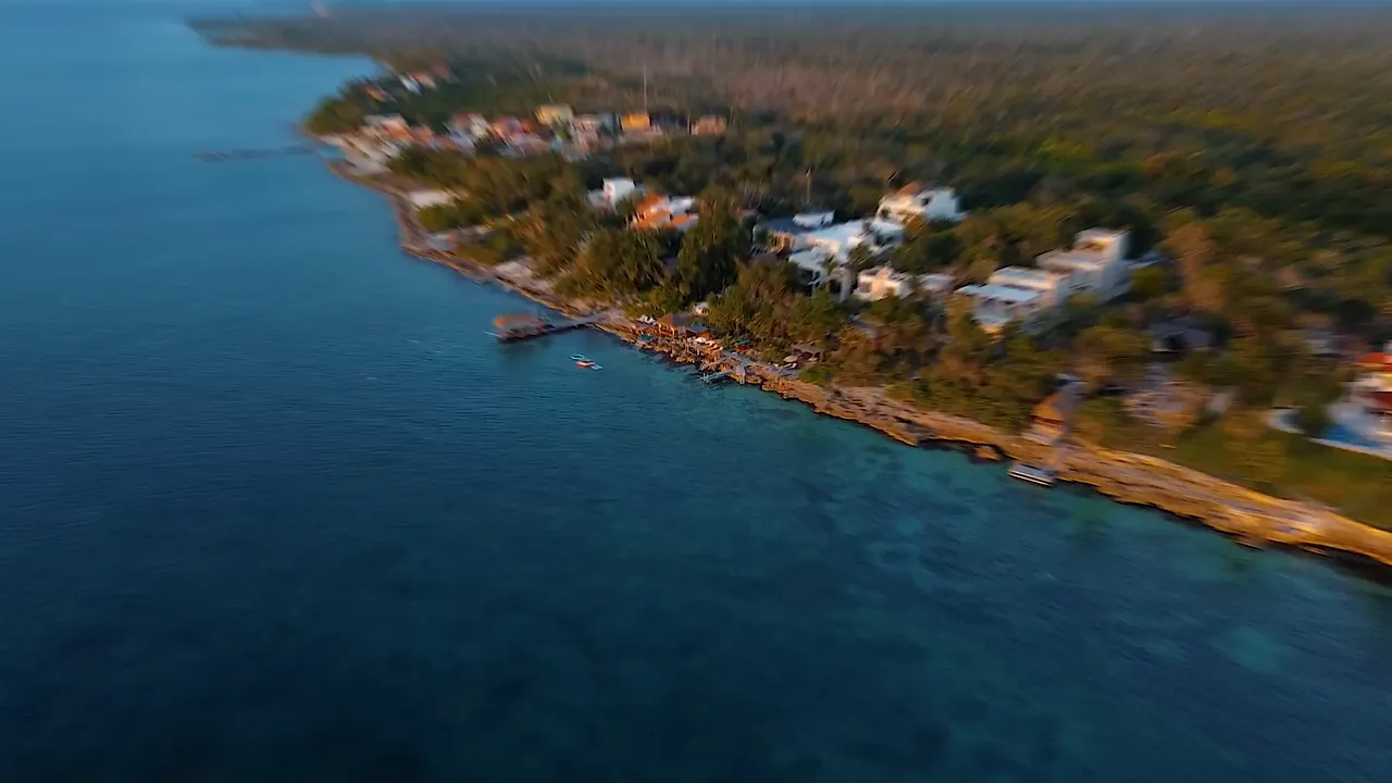 Wander Cozumel Crystal sneak peek video