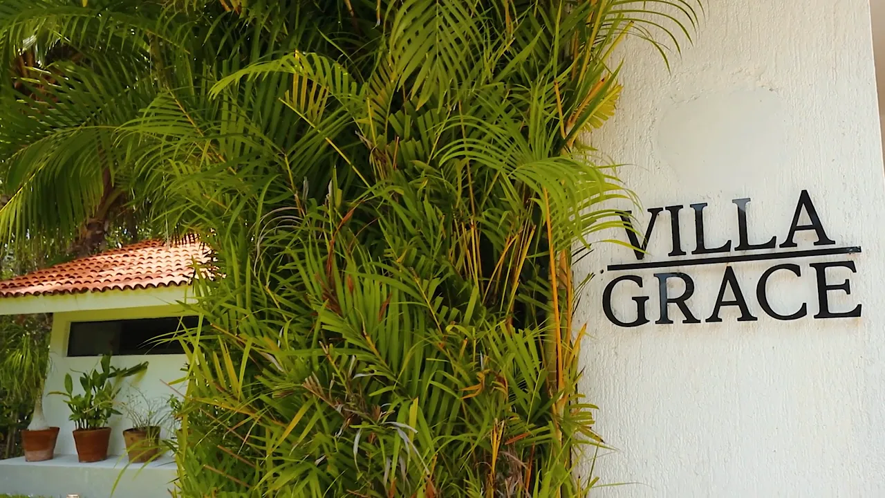 Wander Cozumel Sky sneak peek video