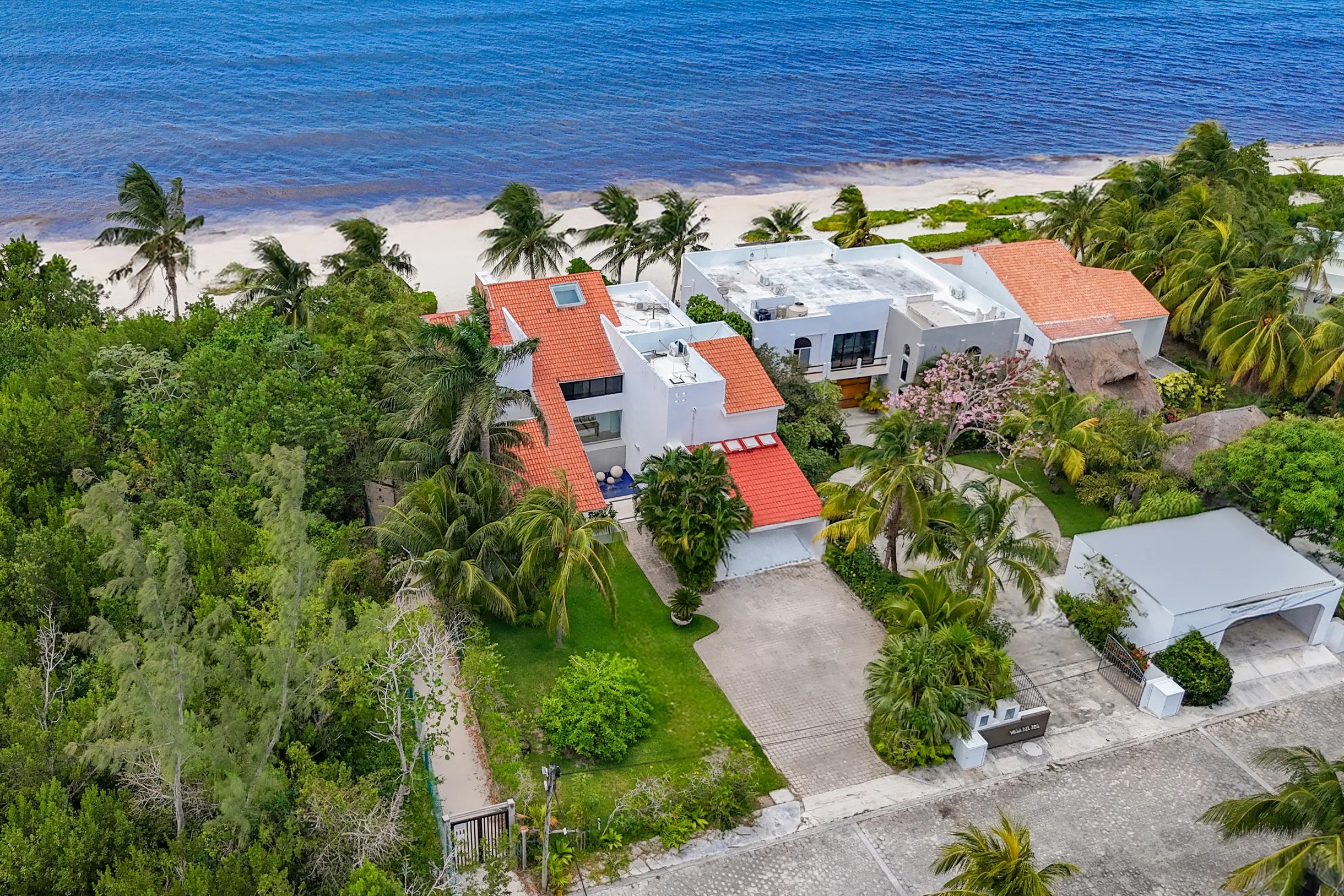 Wander Cozumel Sky #83