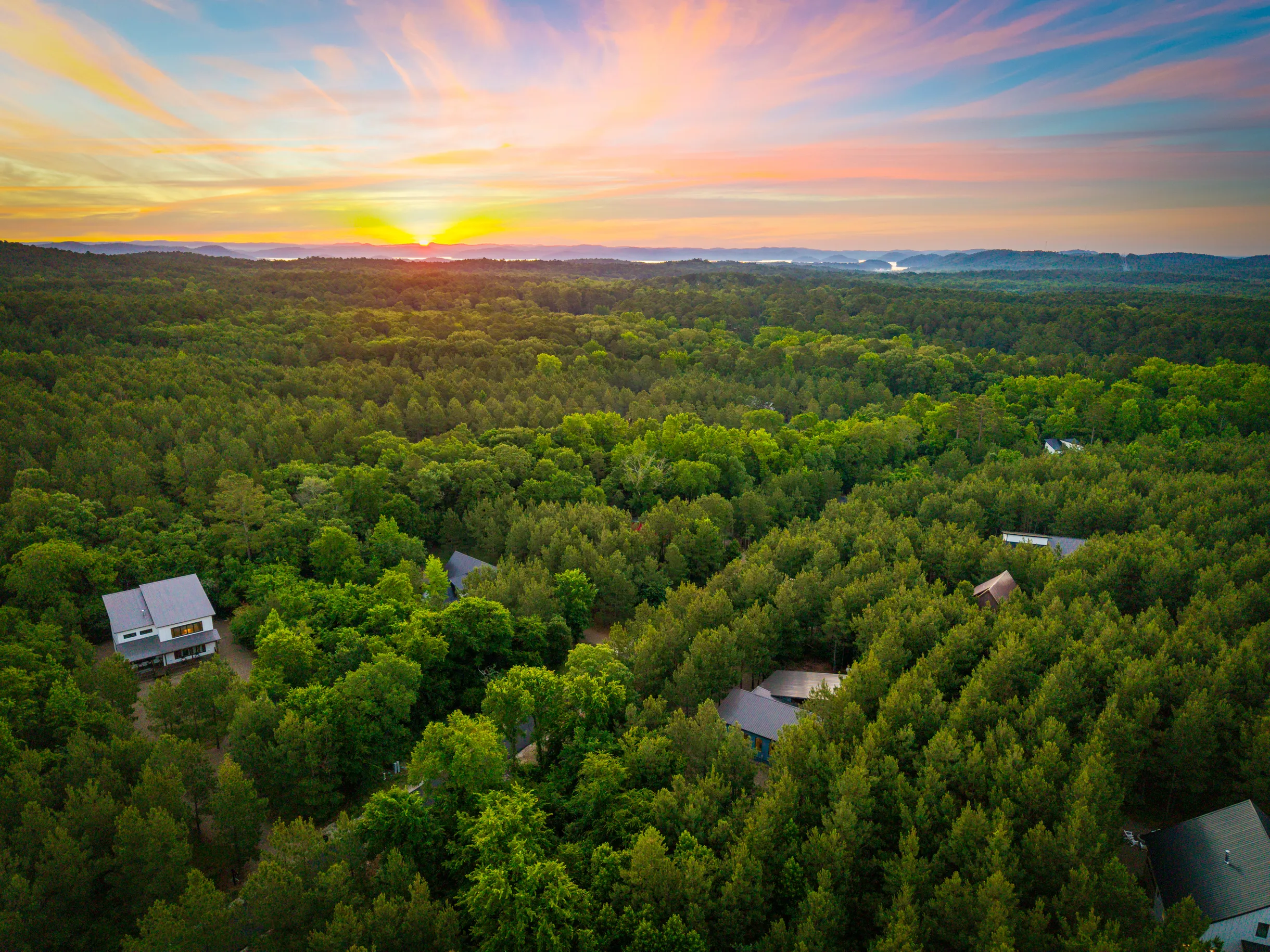 Wander Broken Bow Spruce #53