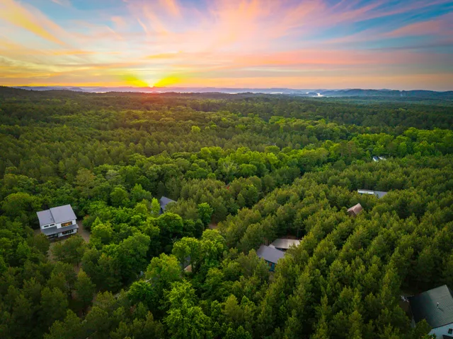 Wander Broken Bow Spruce
