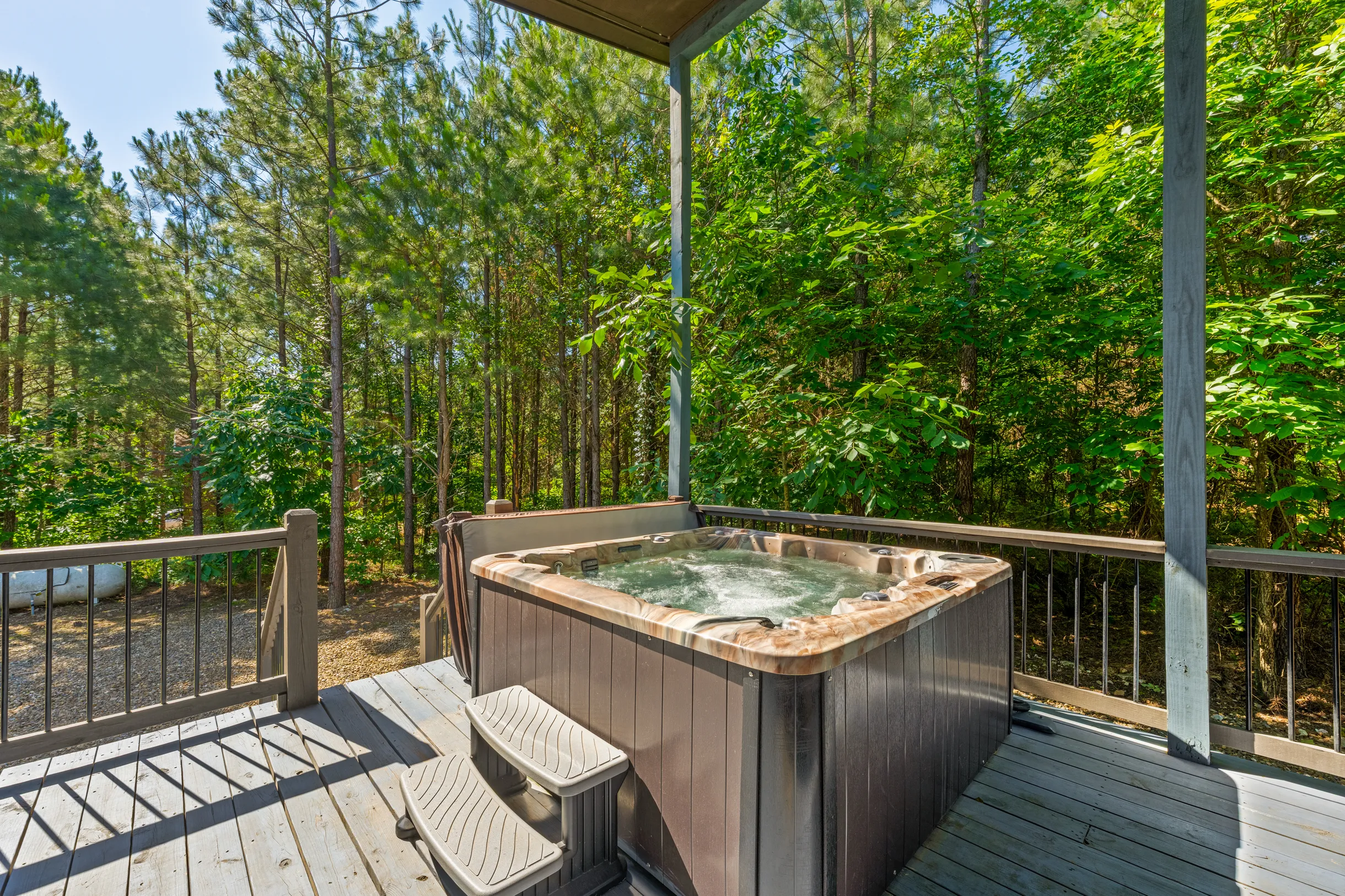 Wander Broken Bow Spruce #56