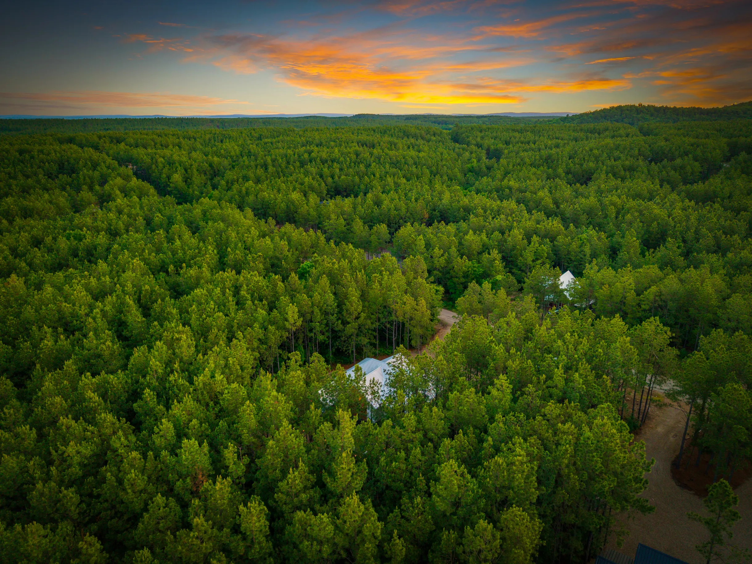 Wander Broken Bow Trail #85