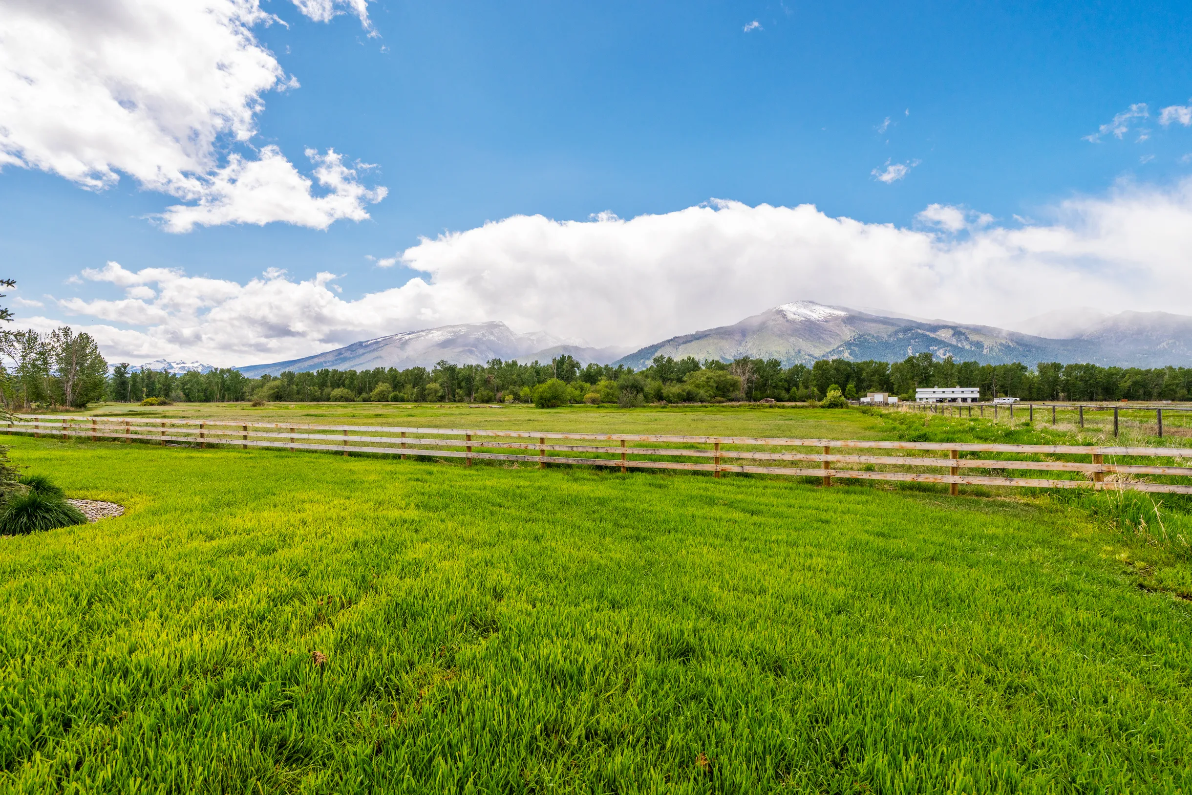 Wander Hamilton Park #48