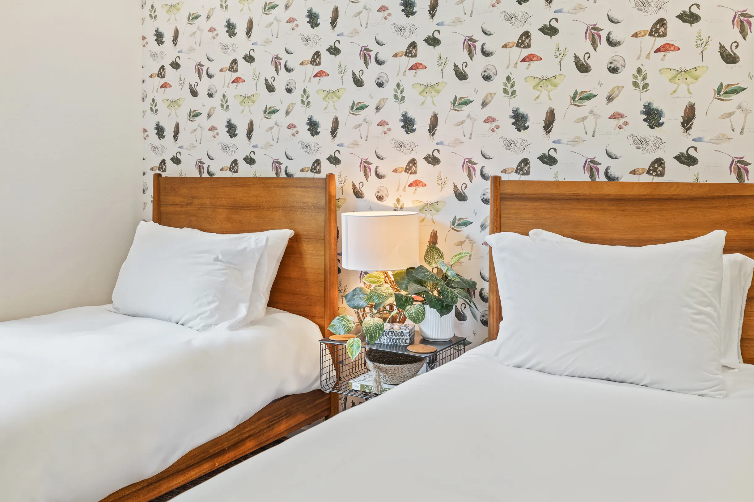 Wander Bellingham Haven #33