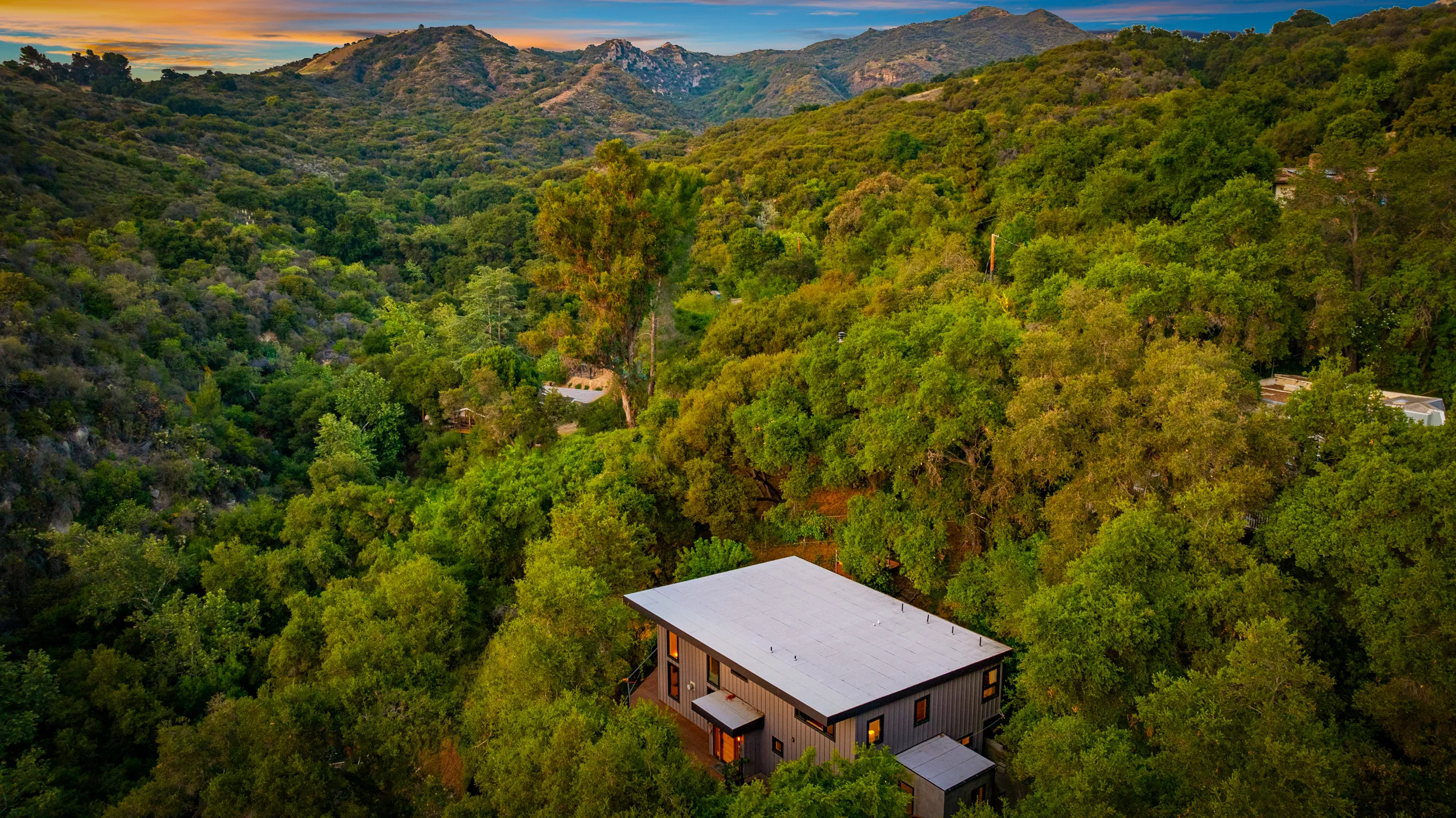 Wander Topanga Canyon #1