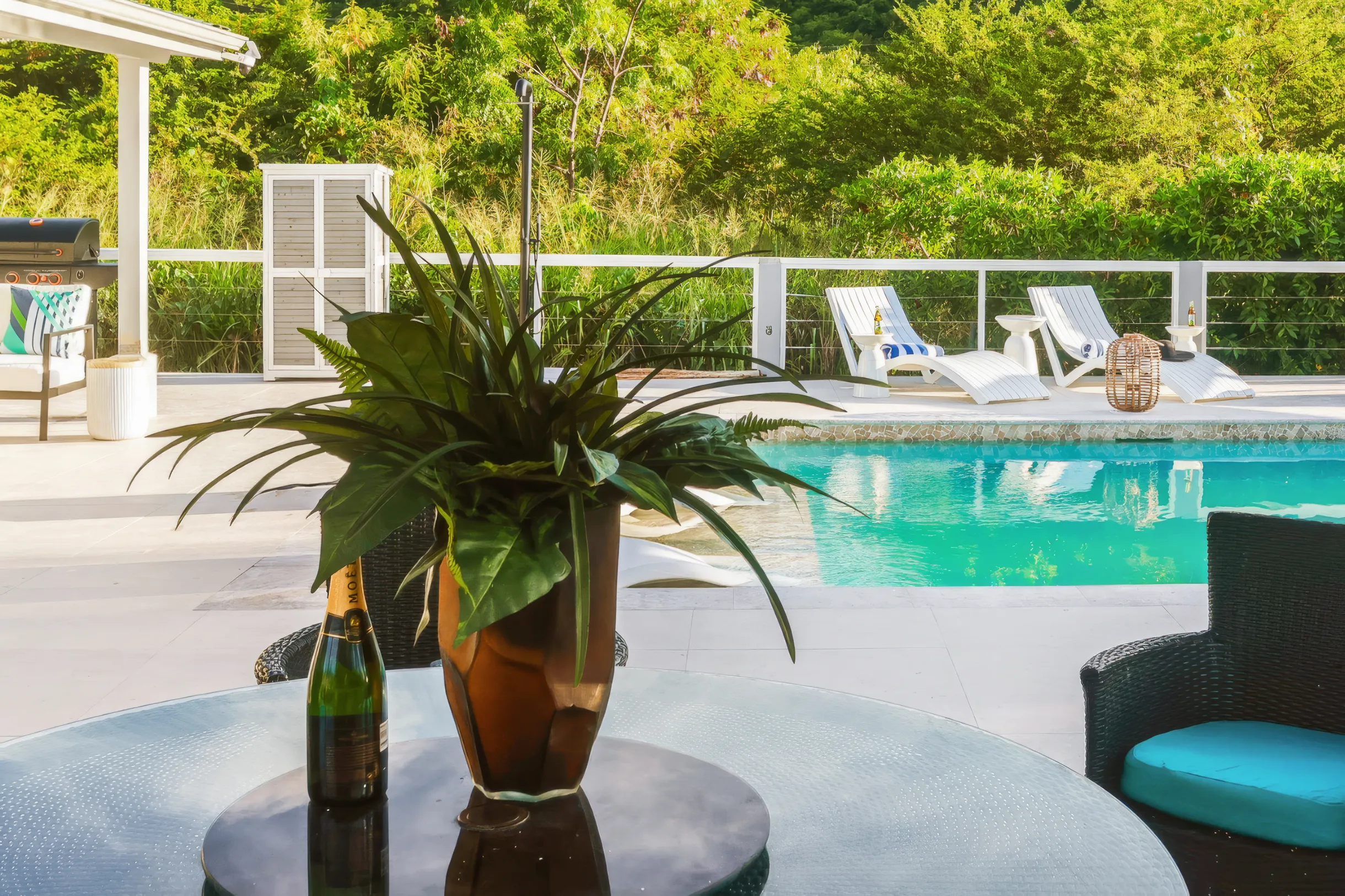 Wander Antigua Palms #37