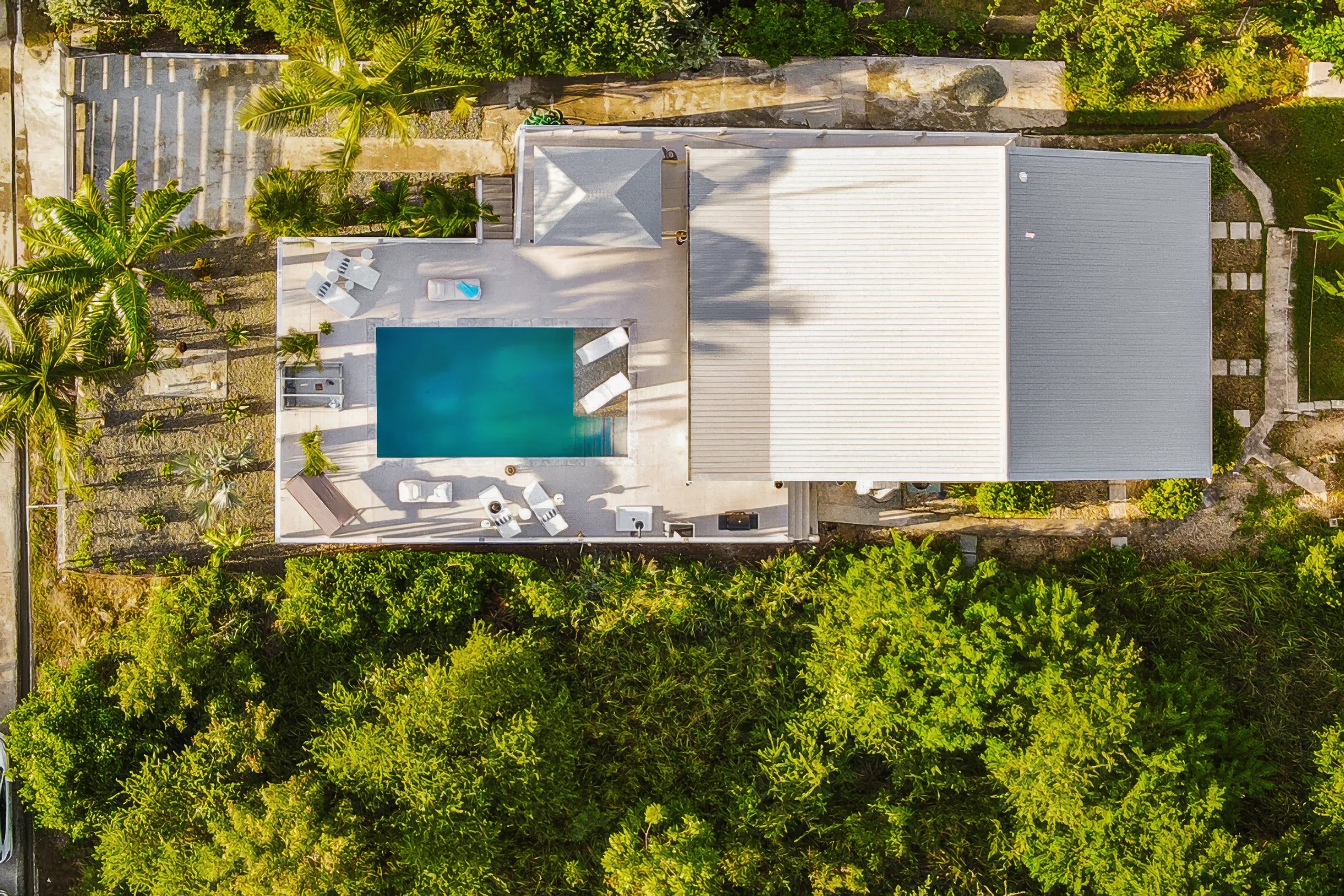 Wander Antigua Palms #4