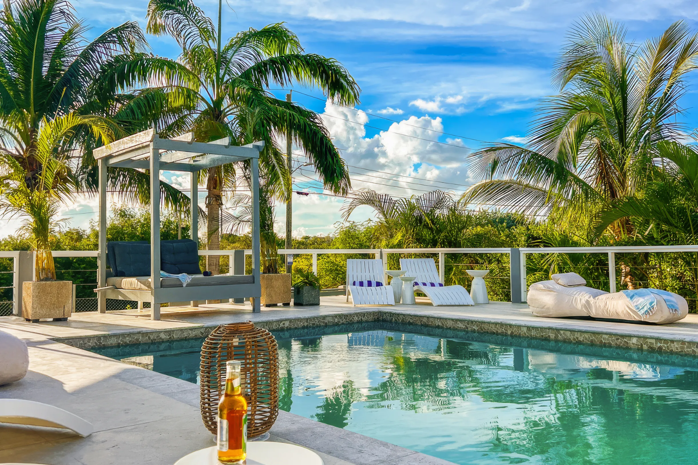 Wander Antigua Palms #2