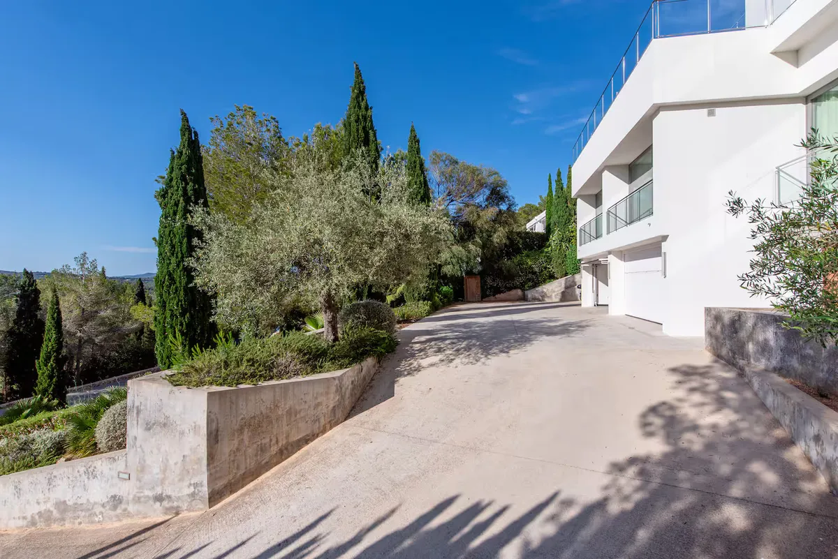 Wander Ibiza Shoal #50