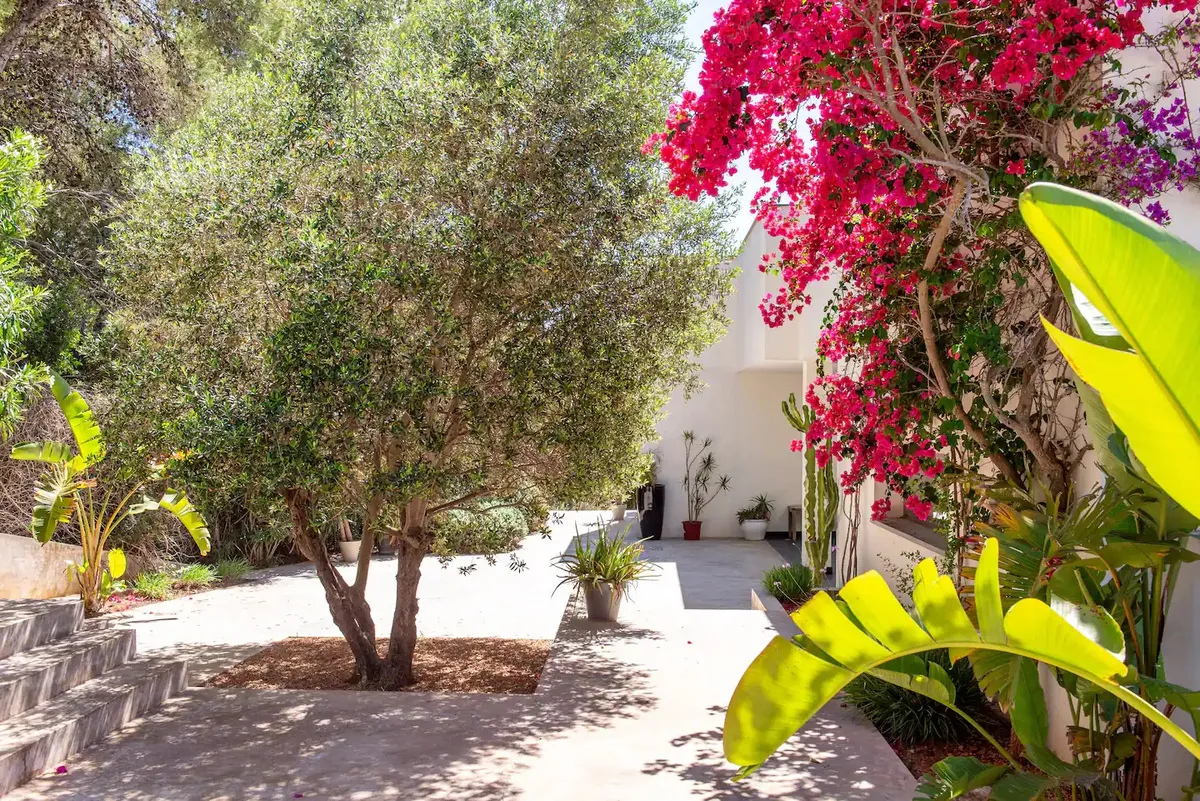 Wander Ibiza Shoal #5