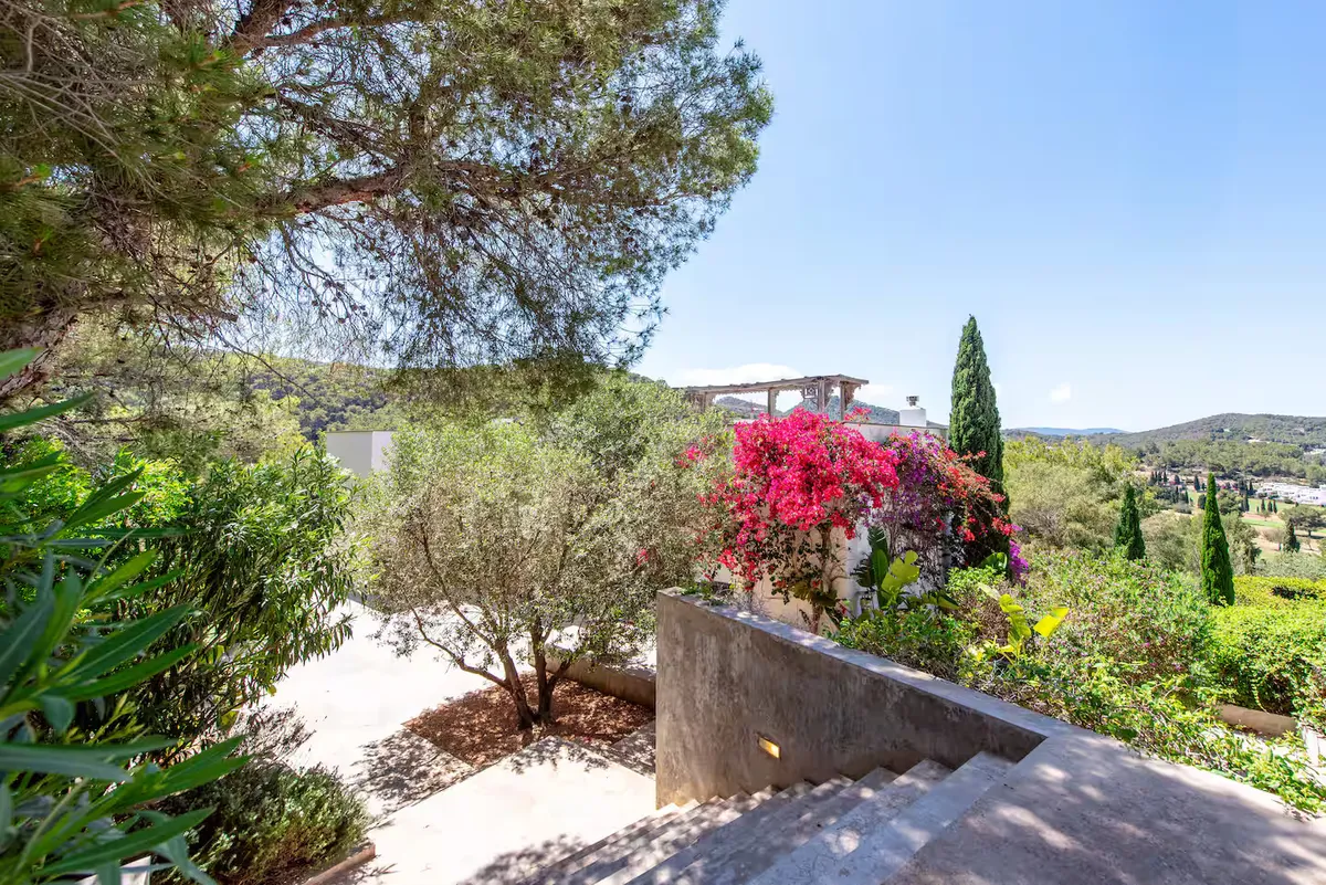 Wander Ibiza Shoal #47