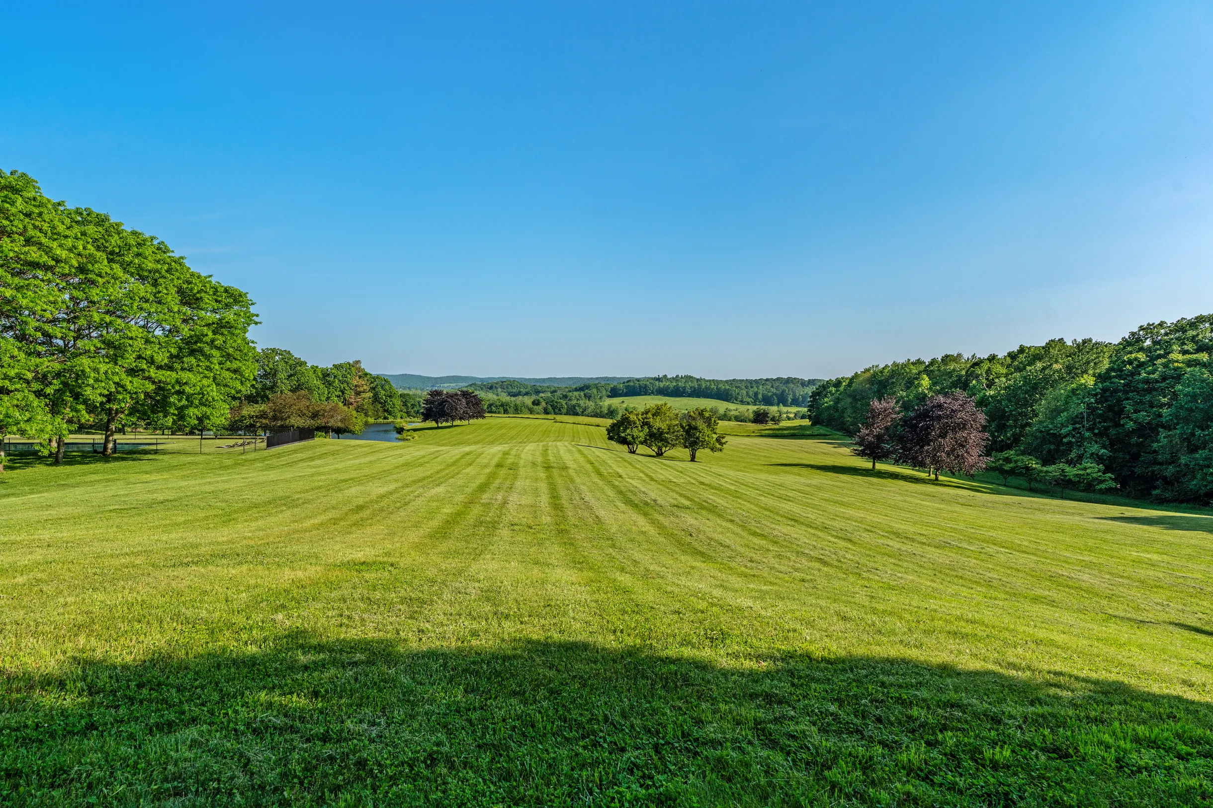 Wander Hudson Oasis #114