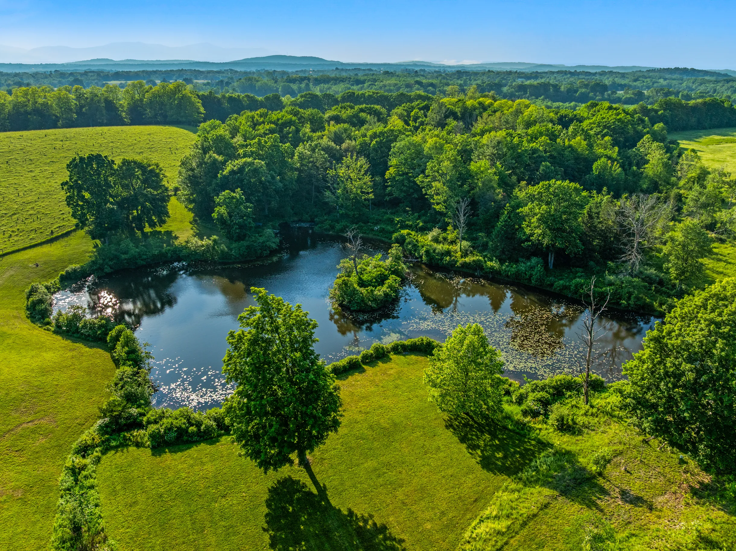 Wander Hudson Oasis #119