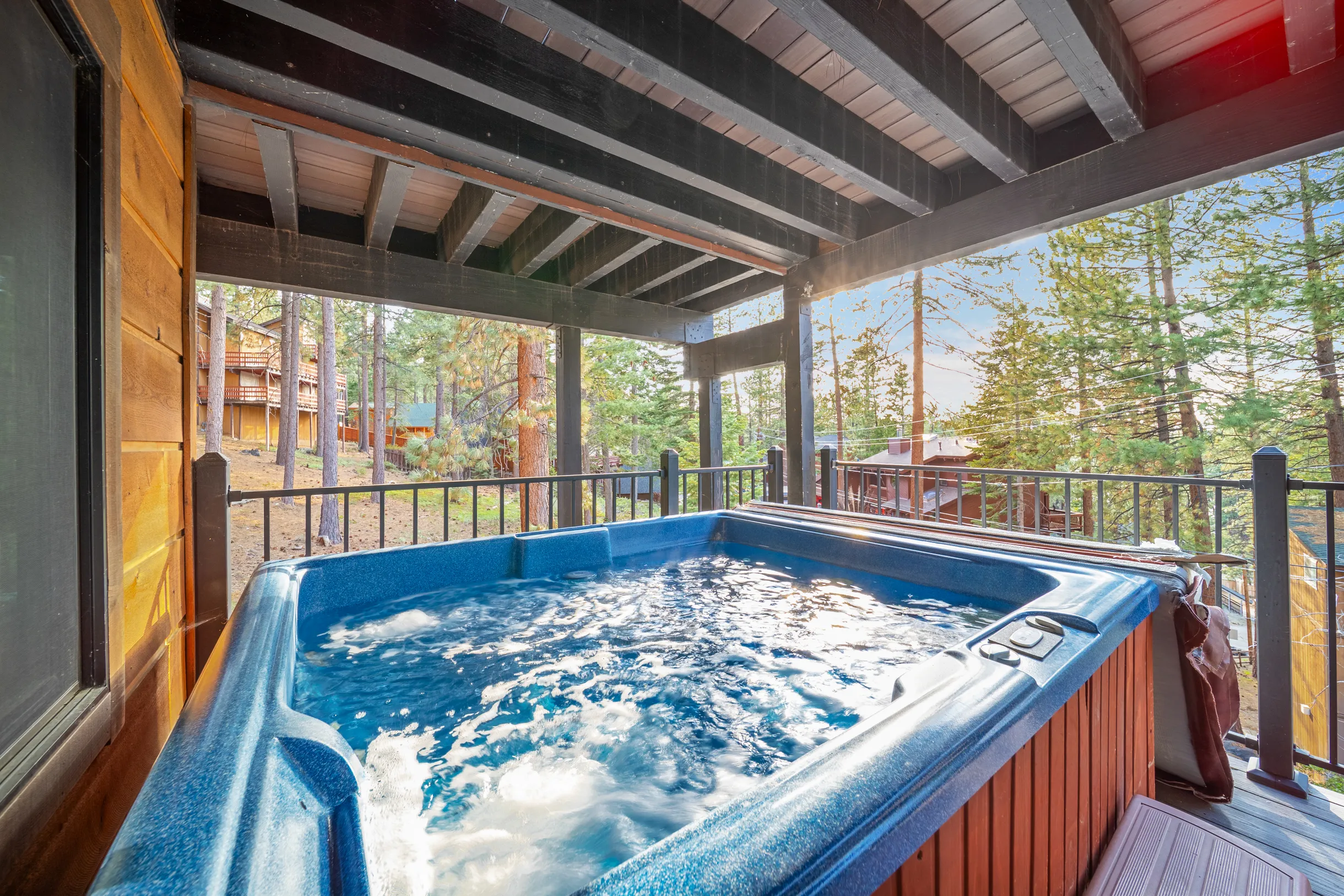 Wander Tahoe Basin #45