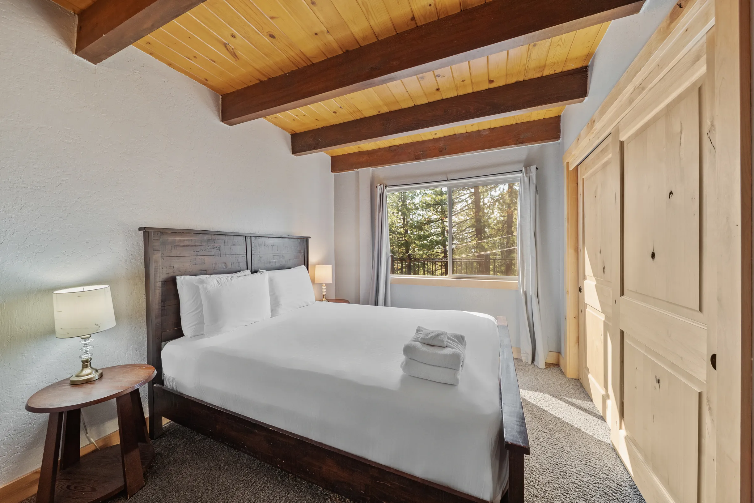 Wander Tahoe Basin #10