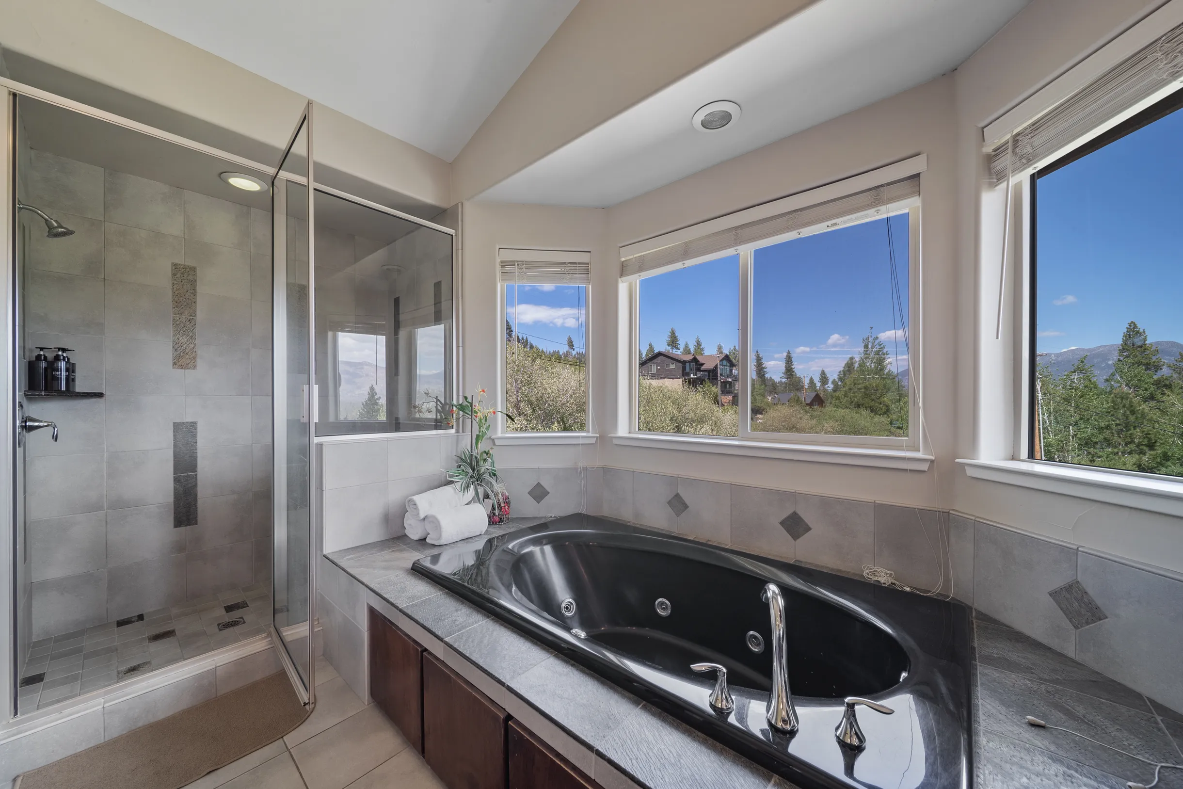 Wander Tahoe Canyon #114