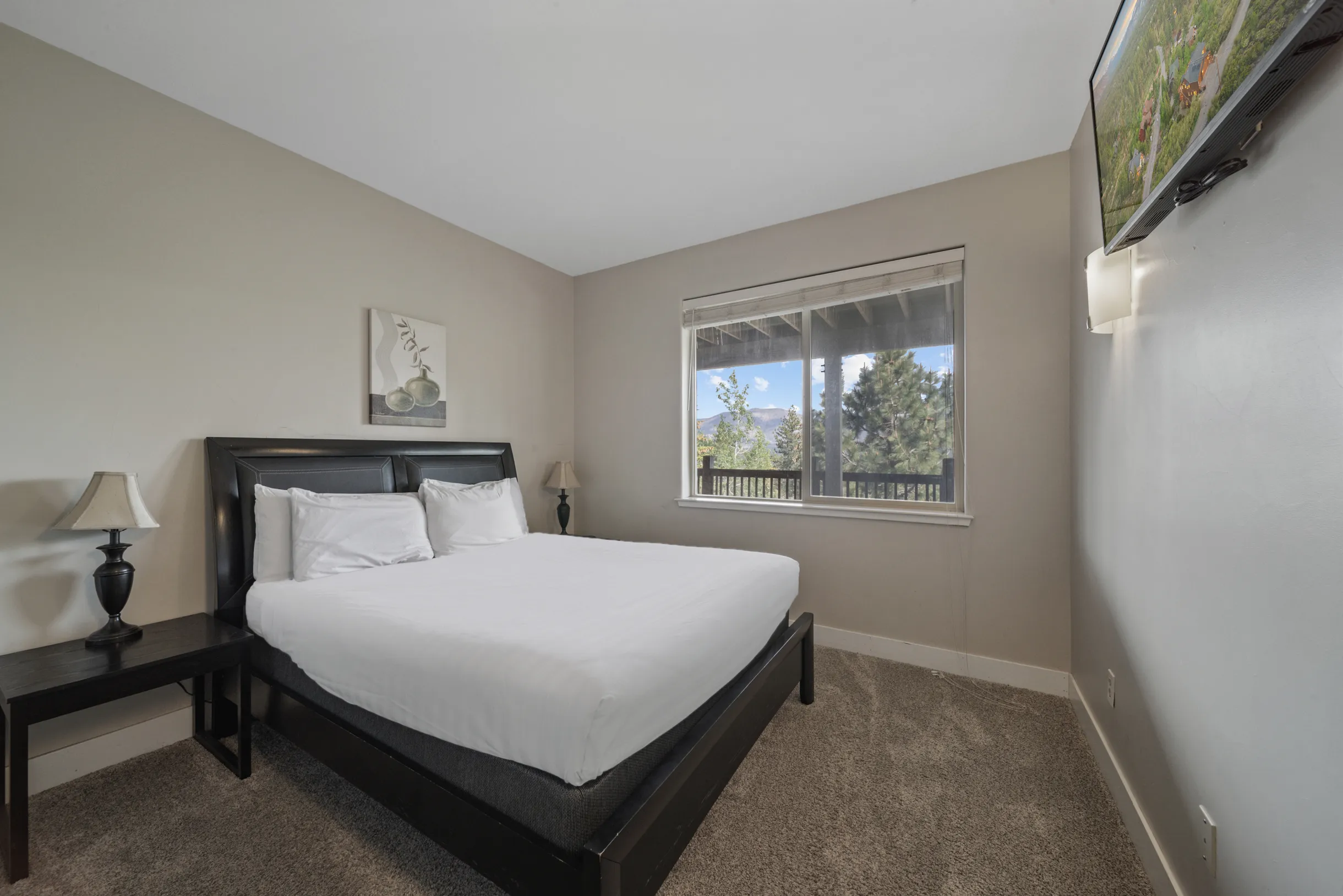 Wander Tahoe Canyon #19