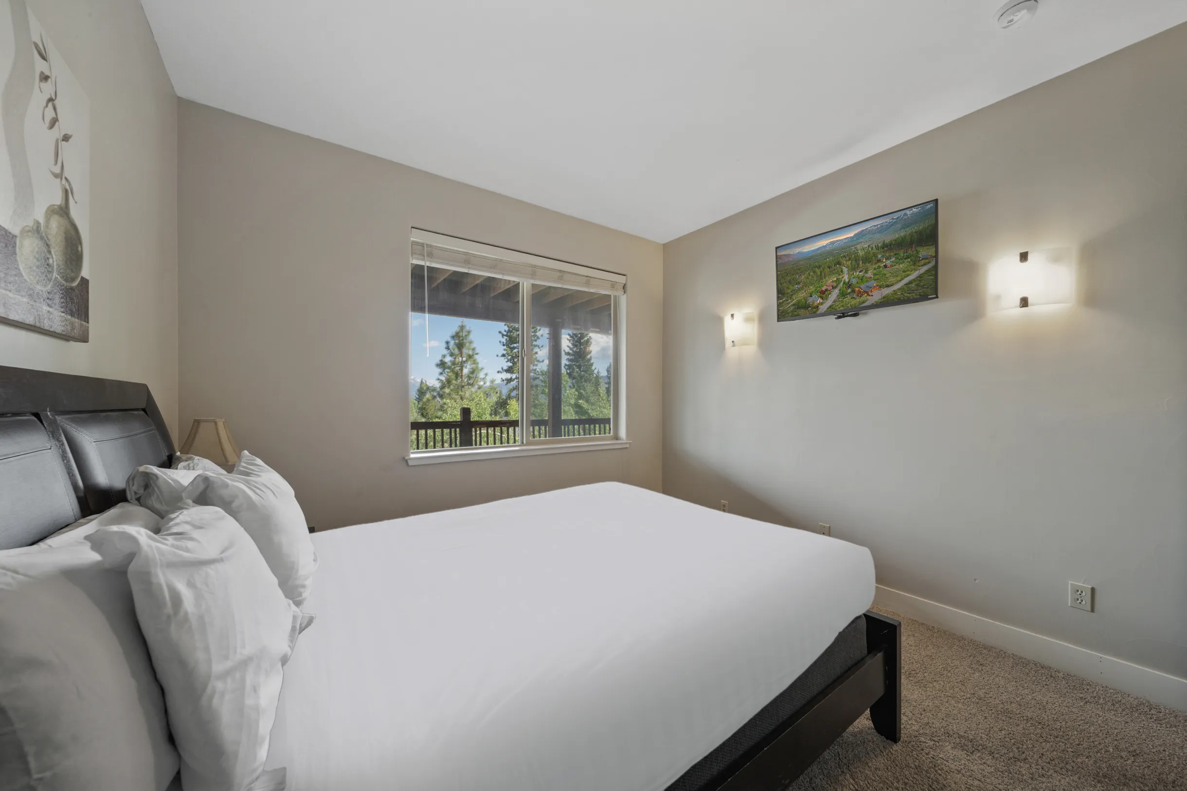 Wander Tahoe Canyon #42