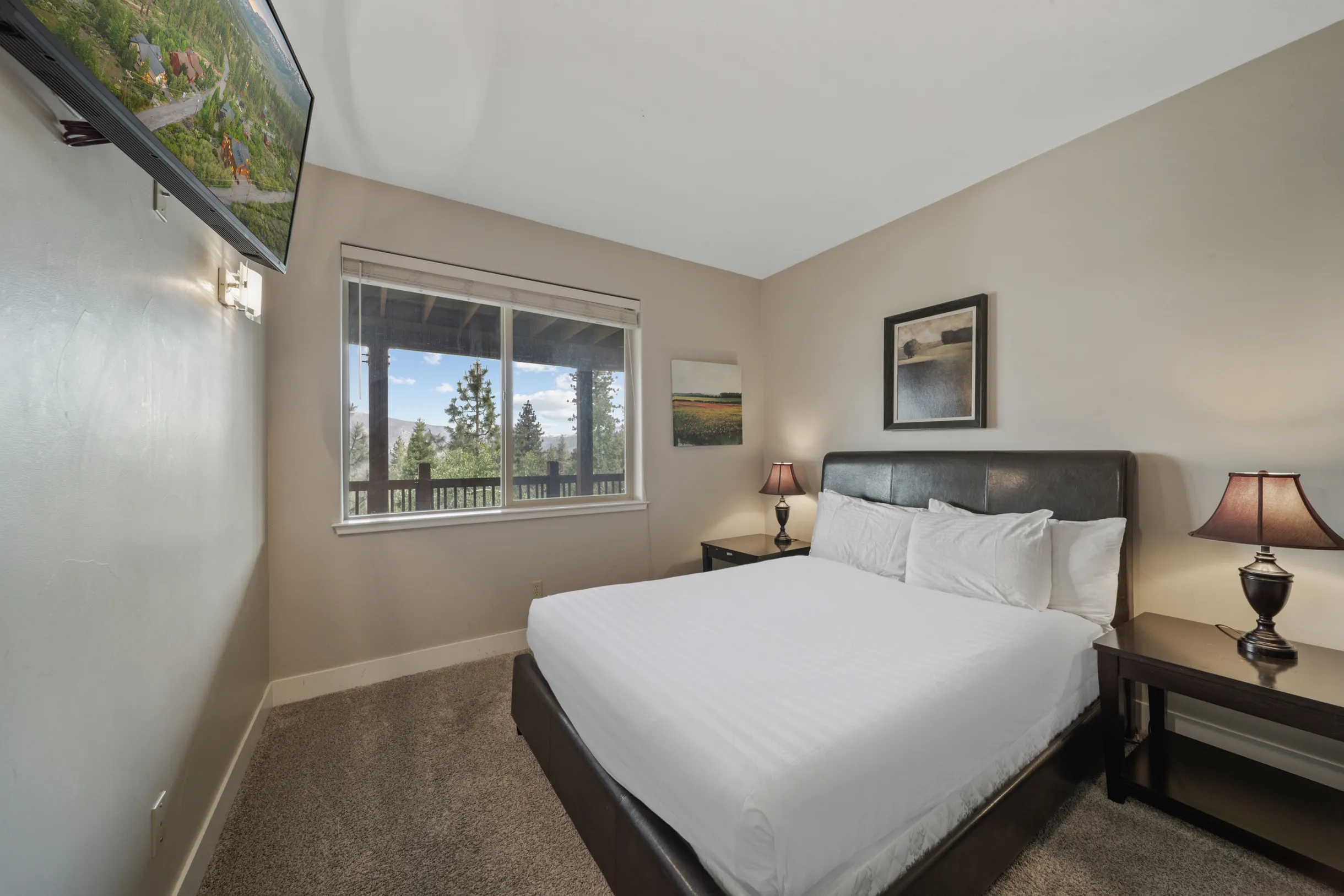 Wander Tahoe Canyon #20