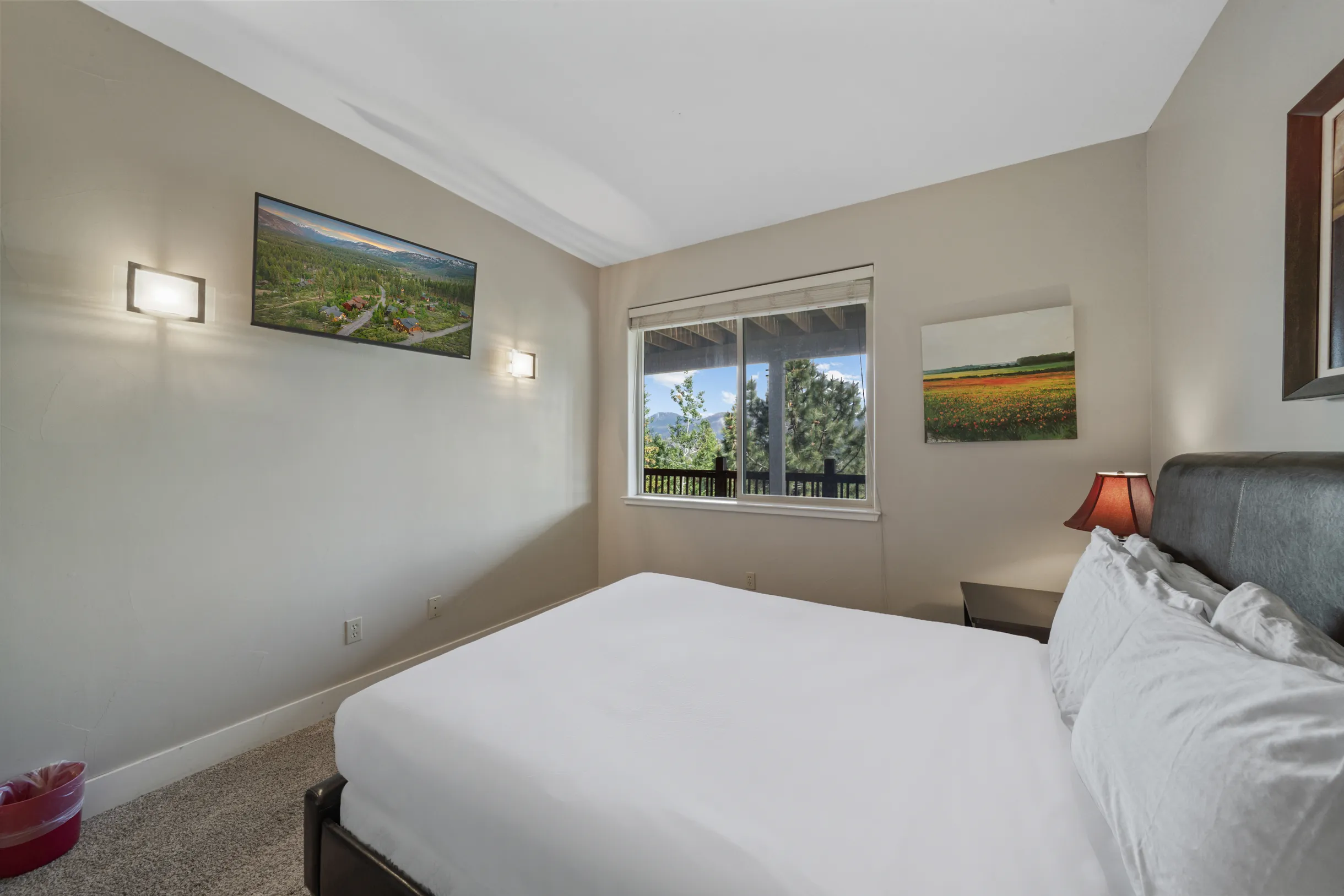 Wander Tahoe Canyon #43