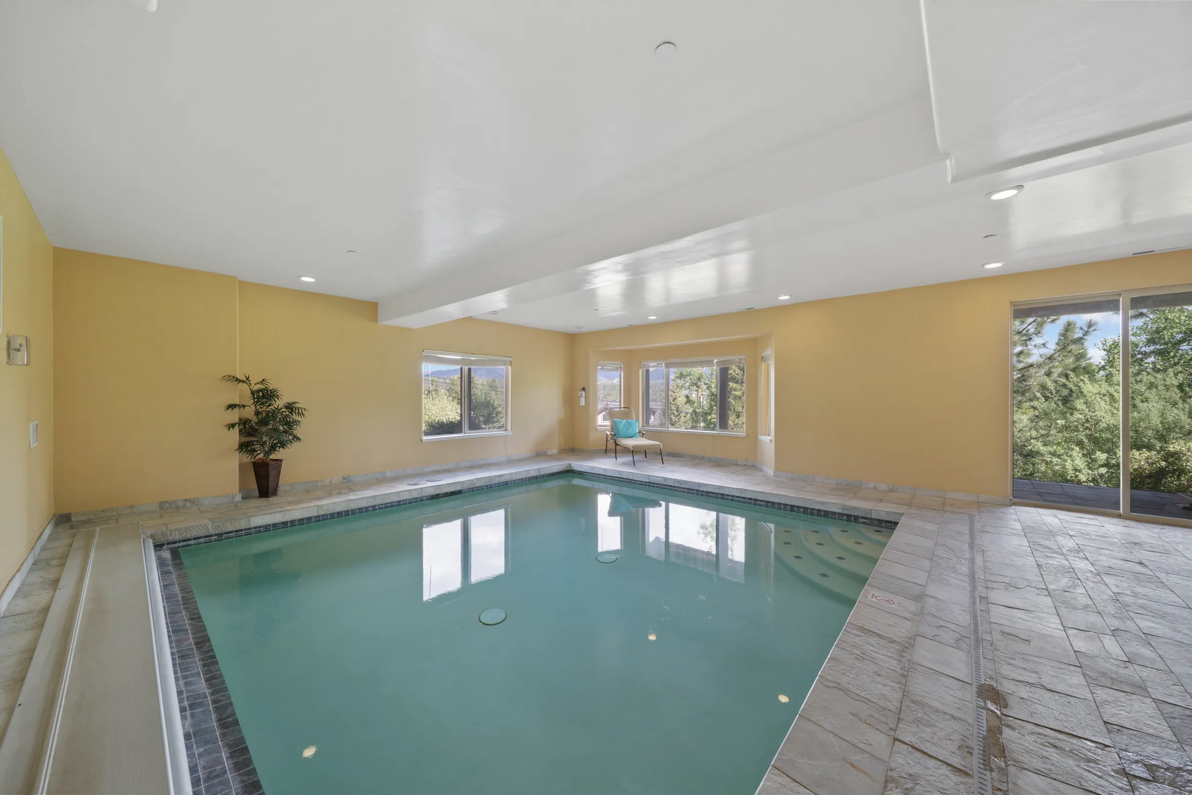 Wander Tahoe Canyon #65